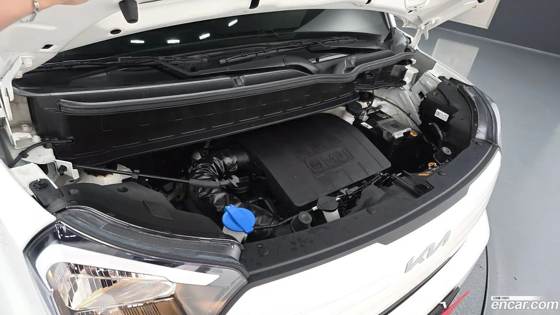 RAY Kia 2024.6-OUTER-006