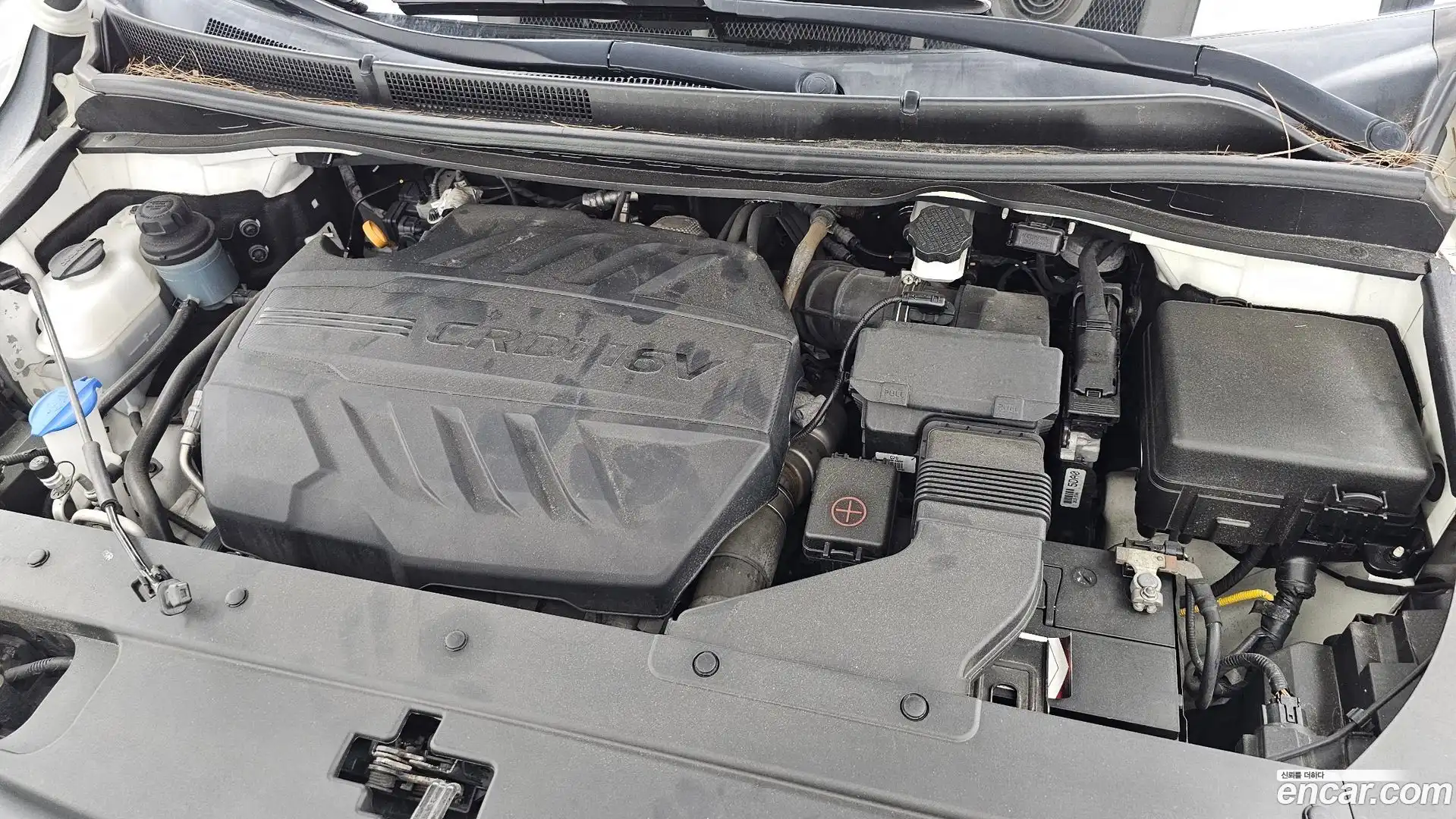 Canival Kia 2018.9-OUTER-006