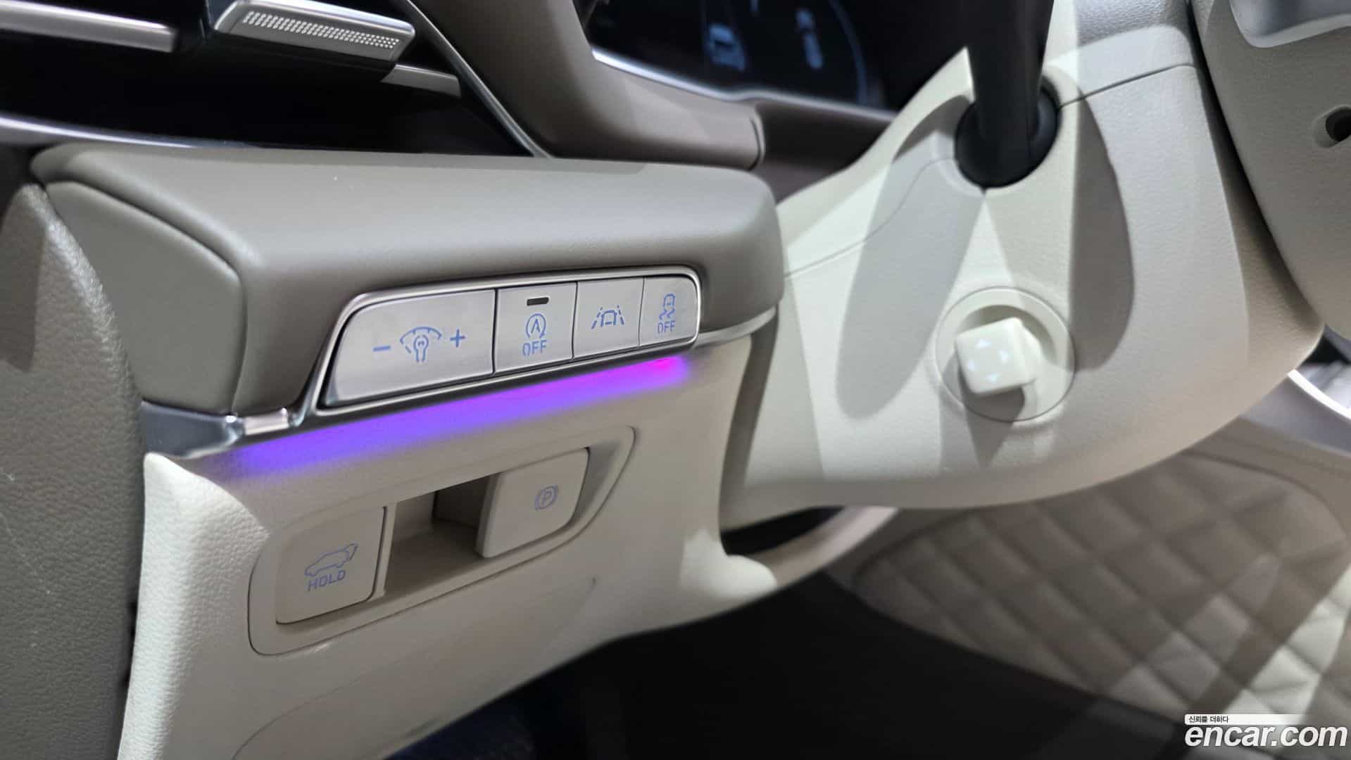 GV80 Genesis 2020.8-OPTION-016