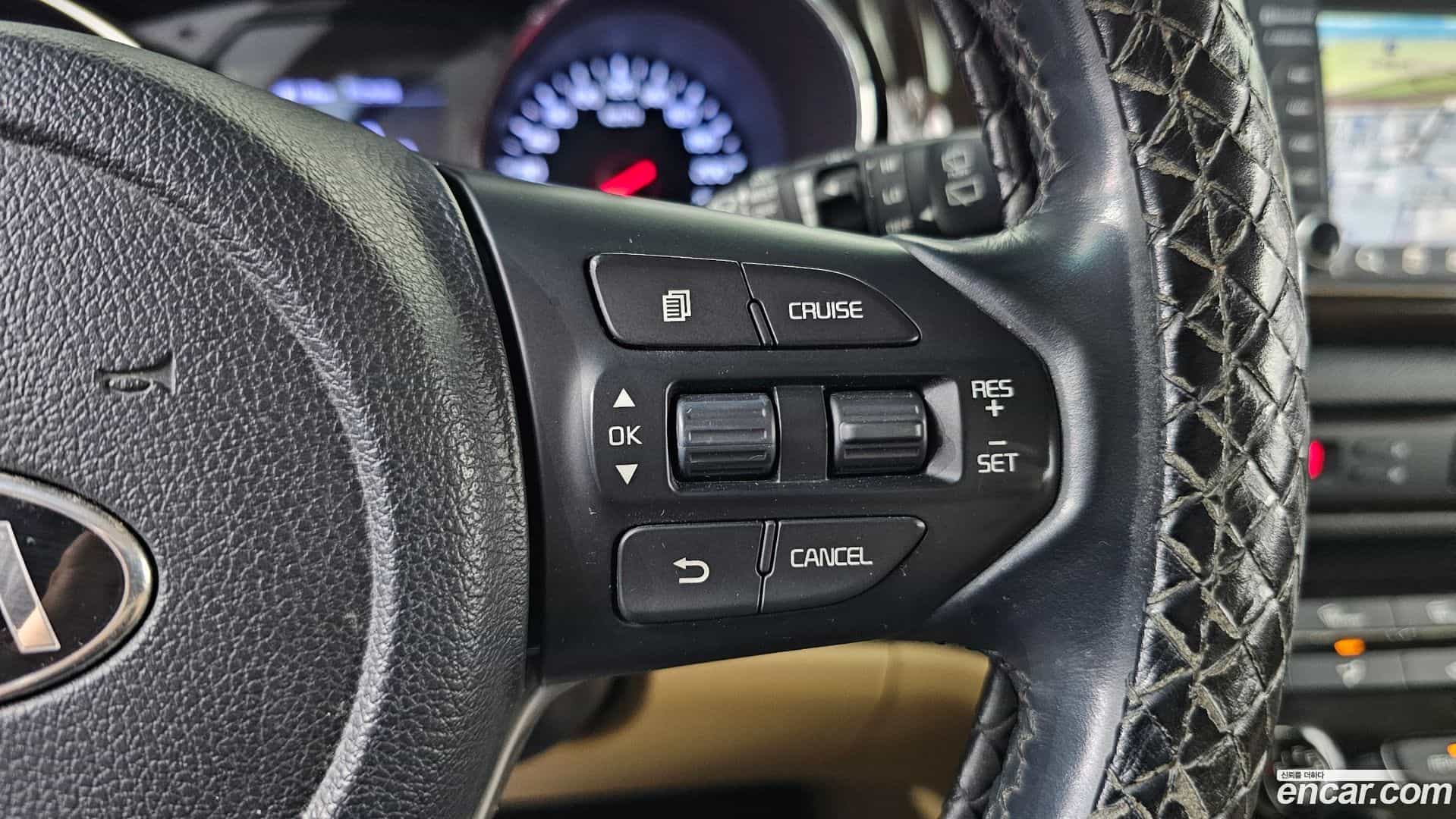 Canival Kia 2019.10-OPTION-019