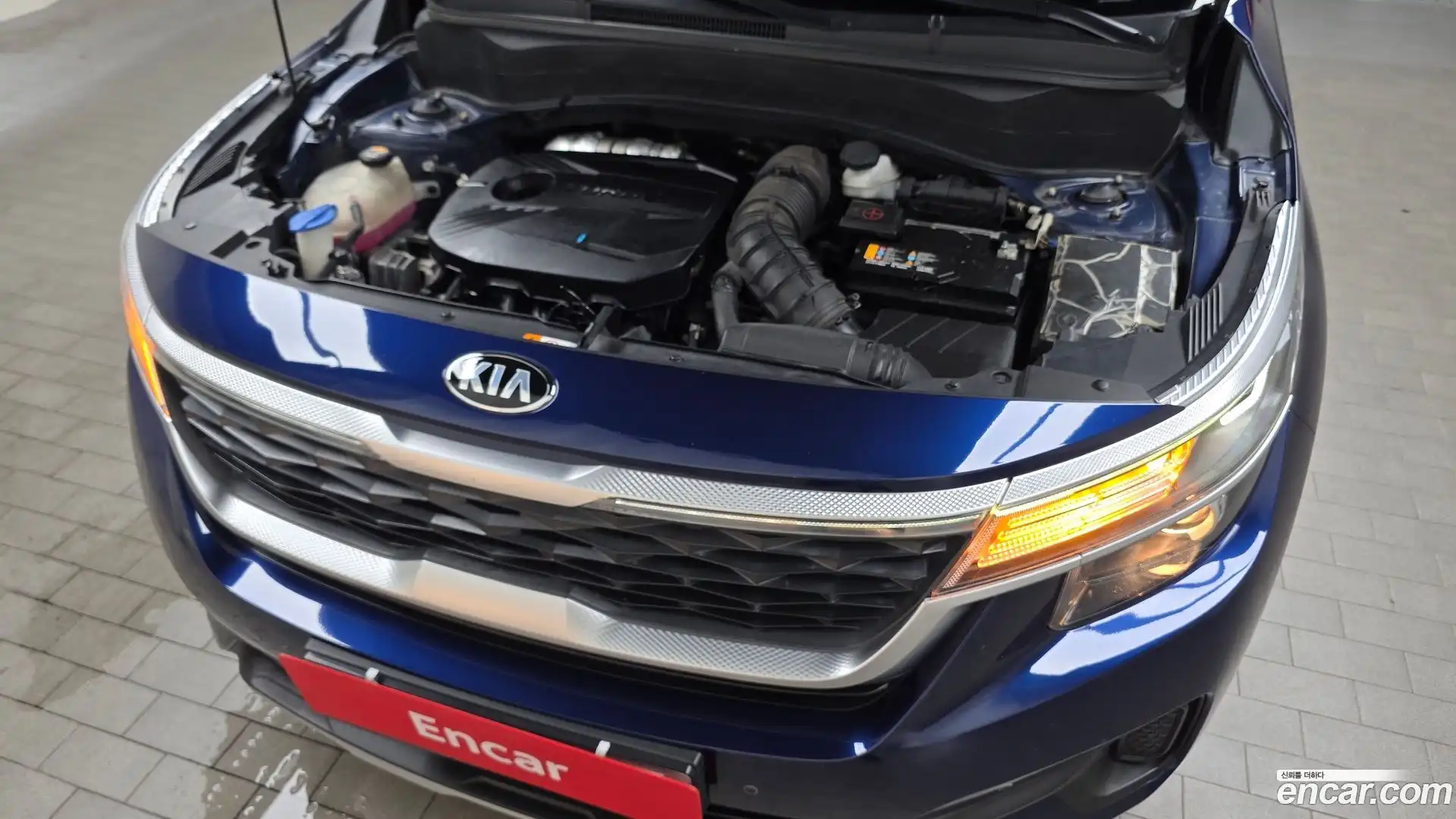 Seltos Kia 2019.8-OUTER-006