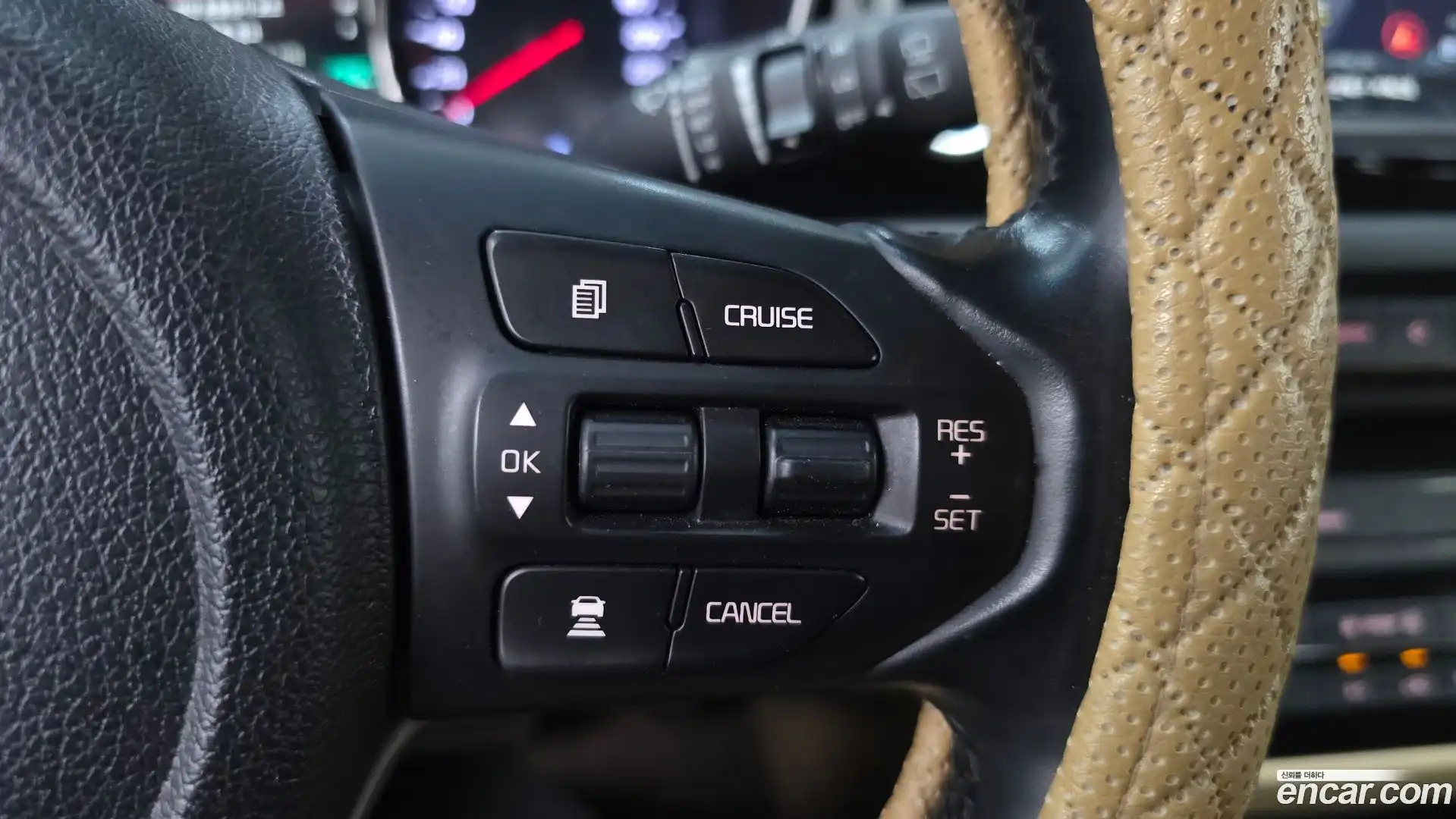 Canival Kia 2018.6-OPTION-024