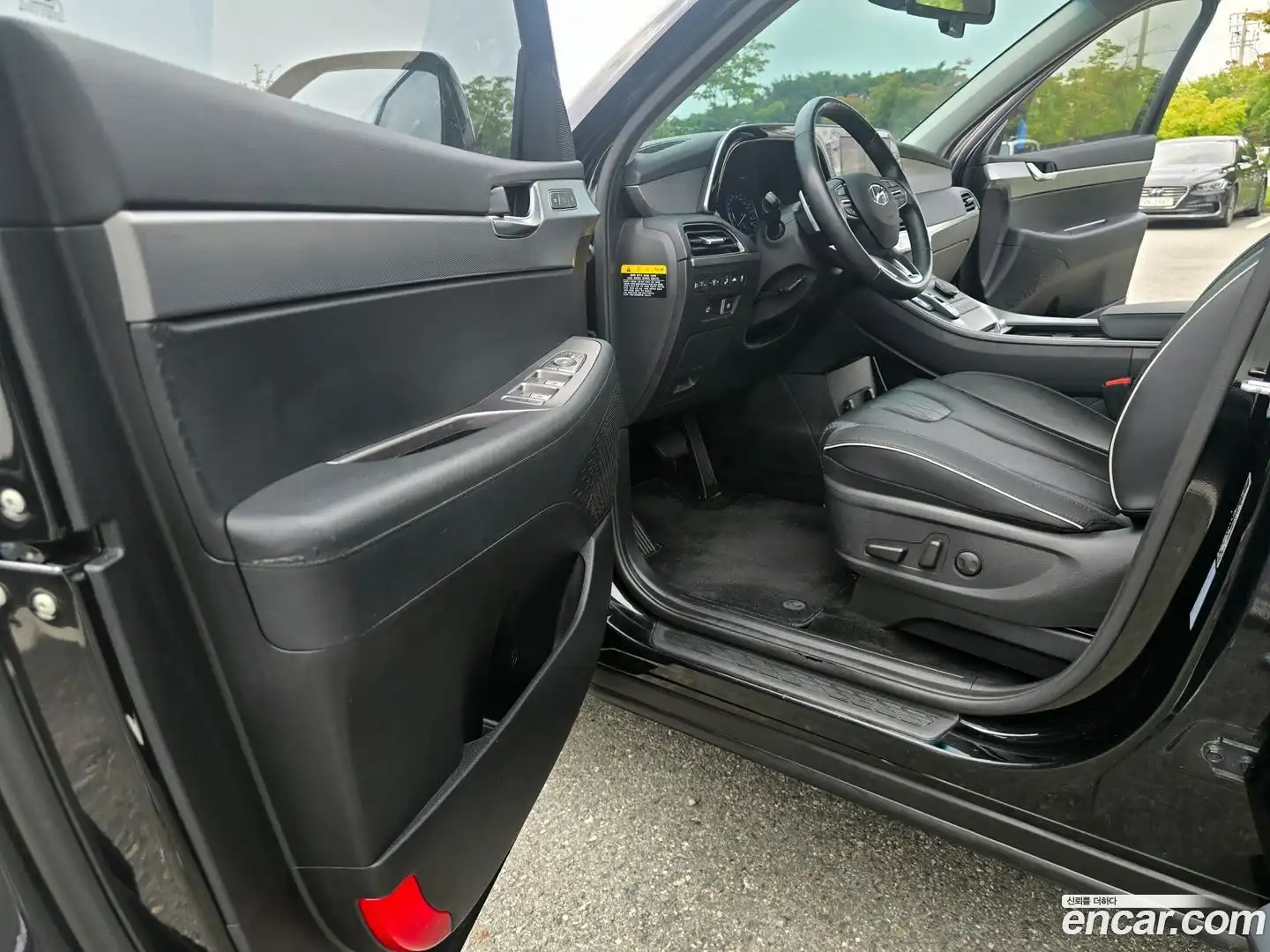 Palisade Hyundai 2019.10-OPTION-015