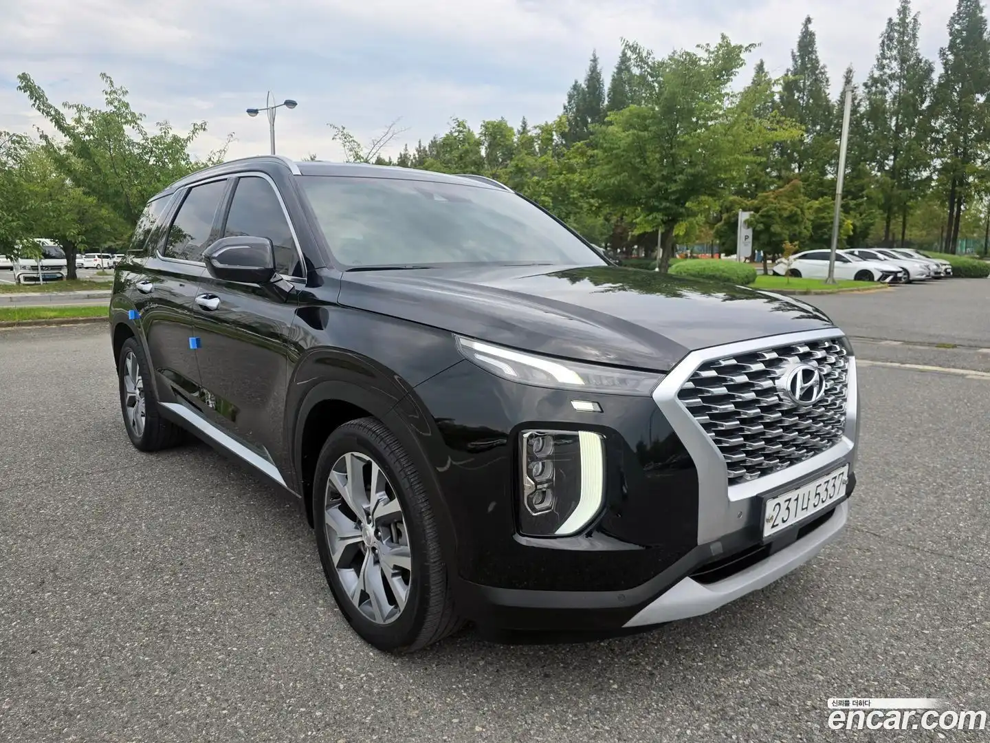 Palisade Hyundai 2019.10-OPTION-021