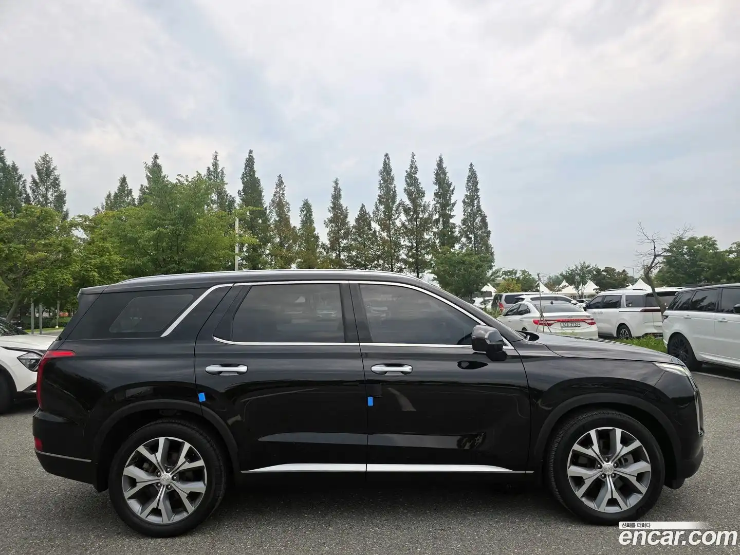 Palisade Hyundai 2019.10-OPTION-023
