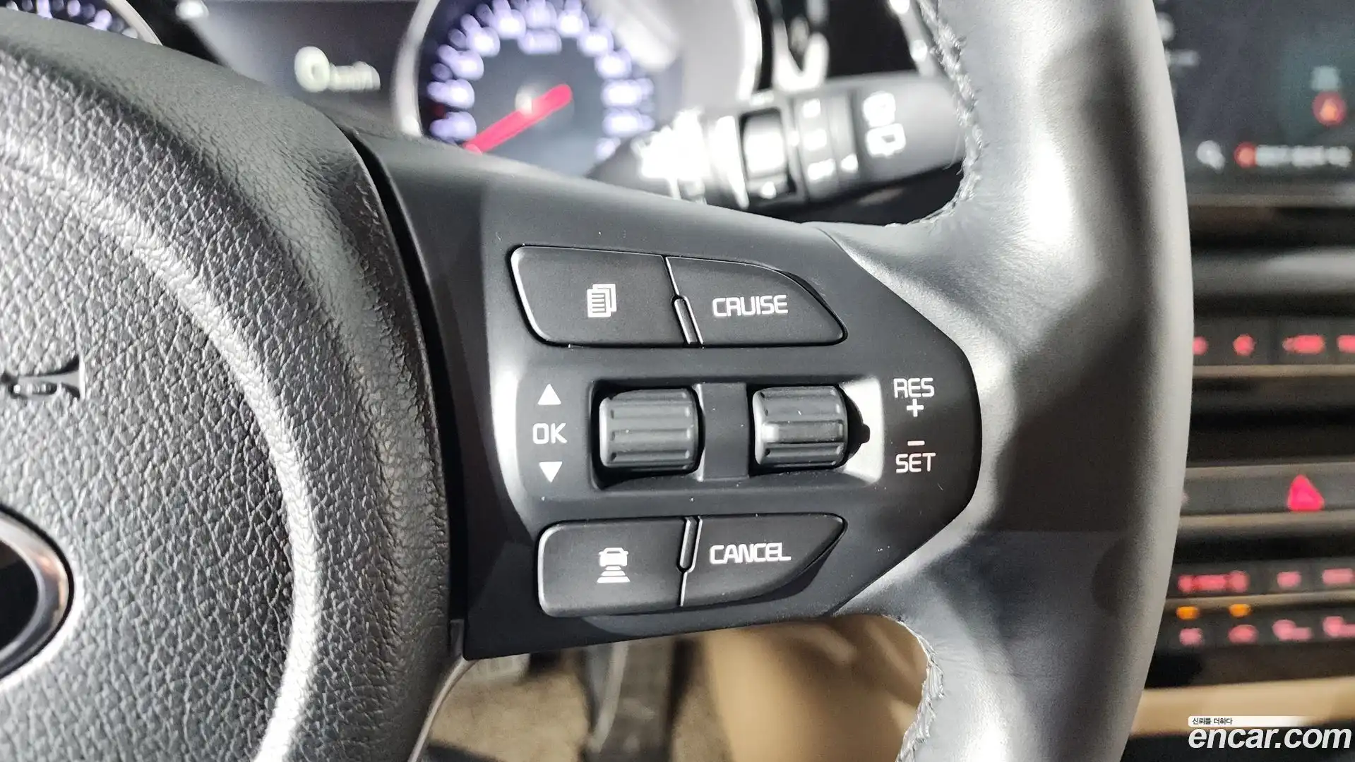 Canival Kia 2019.3-OPTION-022