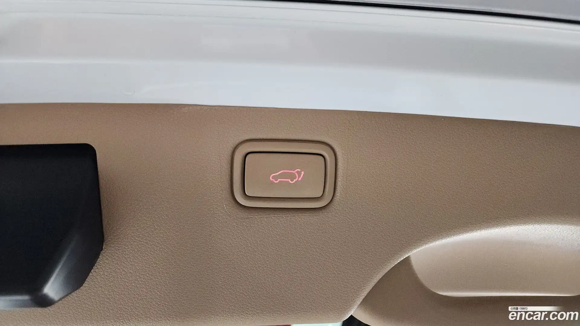 Canival Kia 2019.3-OPTION-023