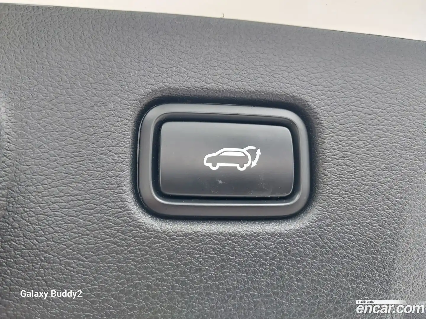 Sportage Kia 2024.11-OPTION-017