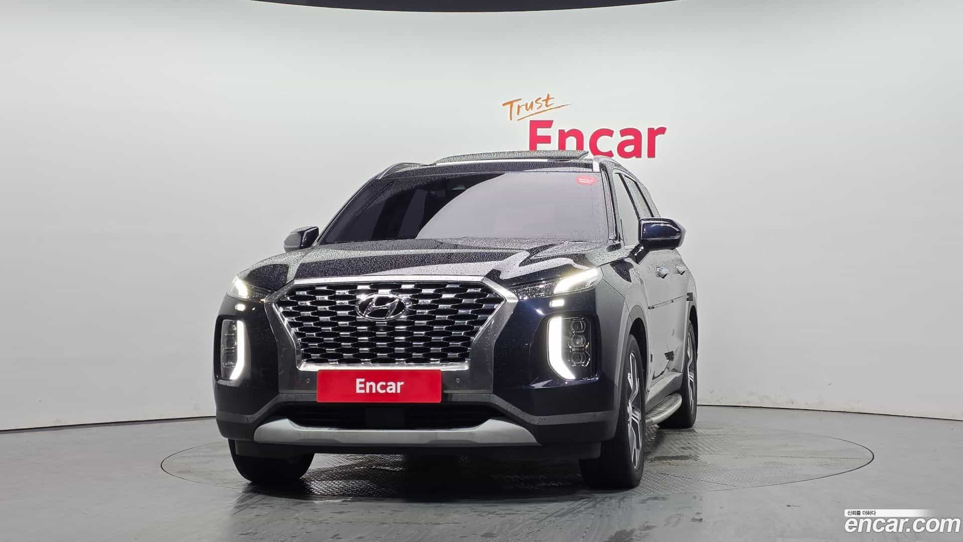 Palisade Hyundai 2019.2-OUTER-003