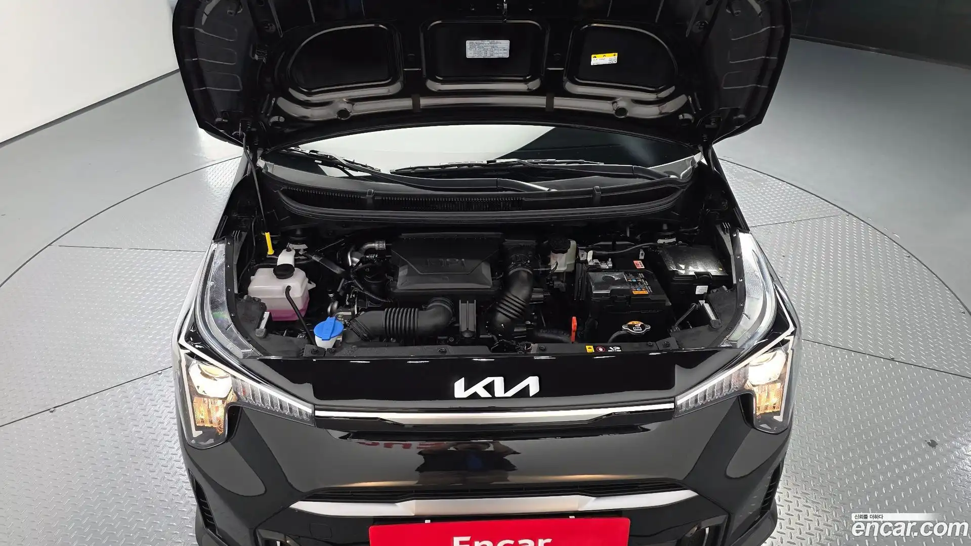 morning Kia 2026.5-OUTER-006