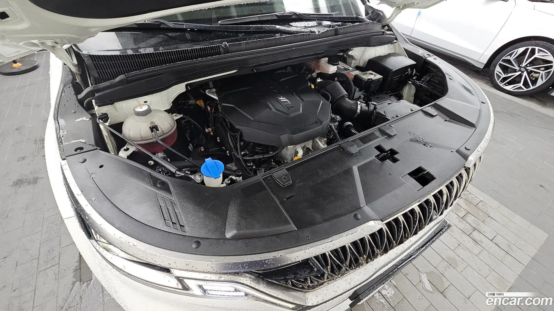 Canival Kia 2023.8-OUTER-006