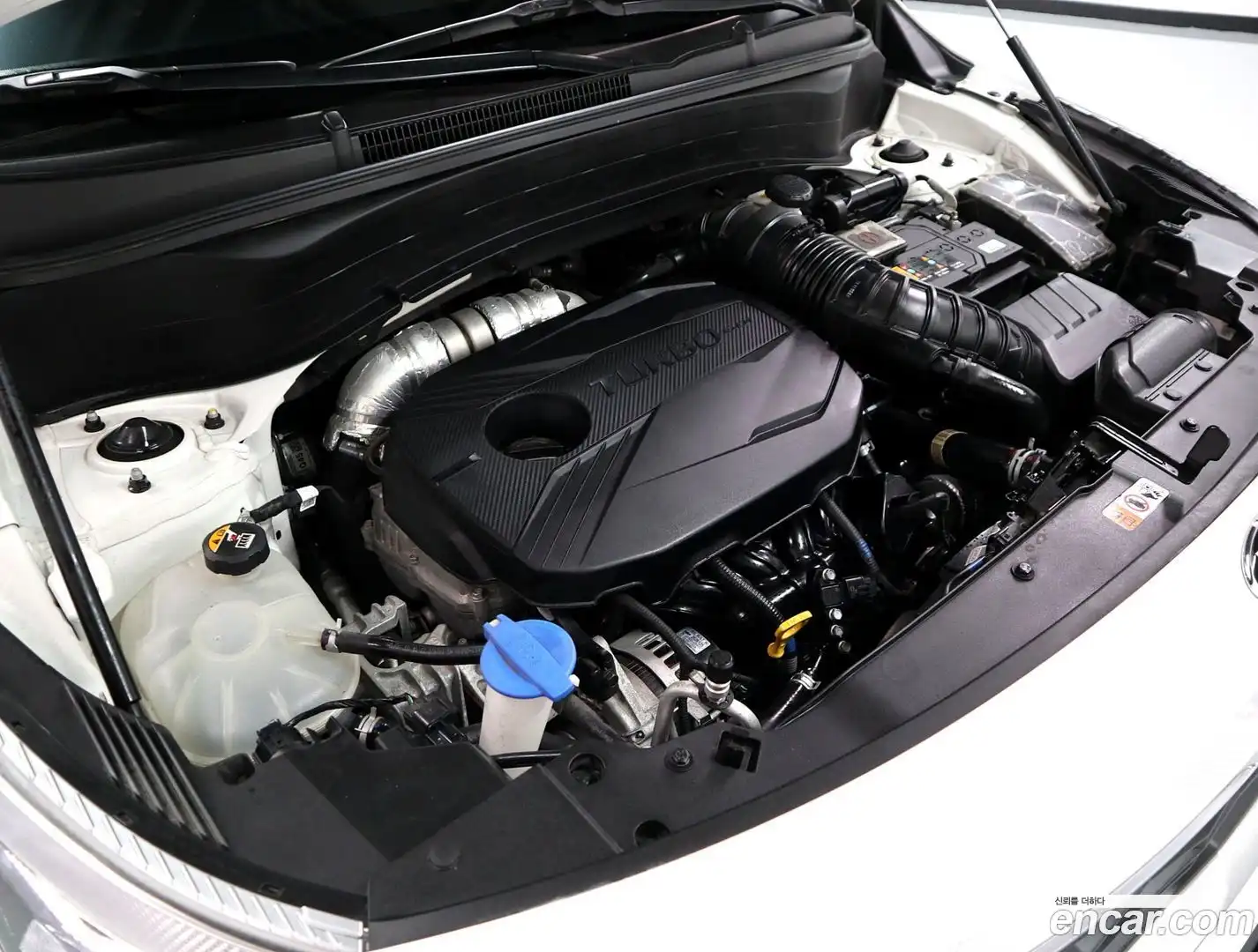 Seltos Kia 2019.9-OUTER-006