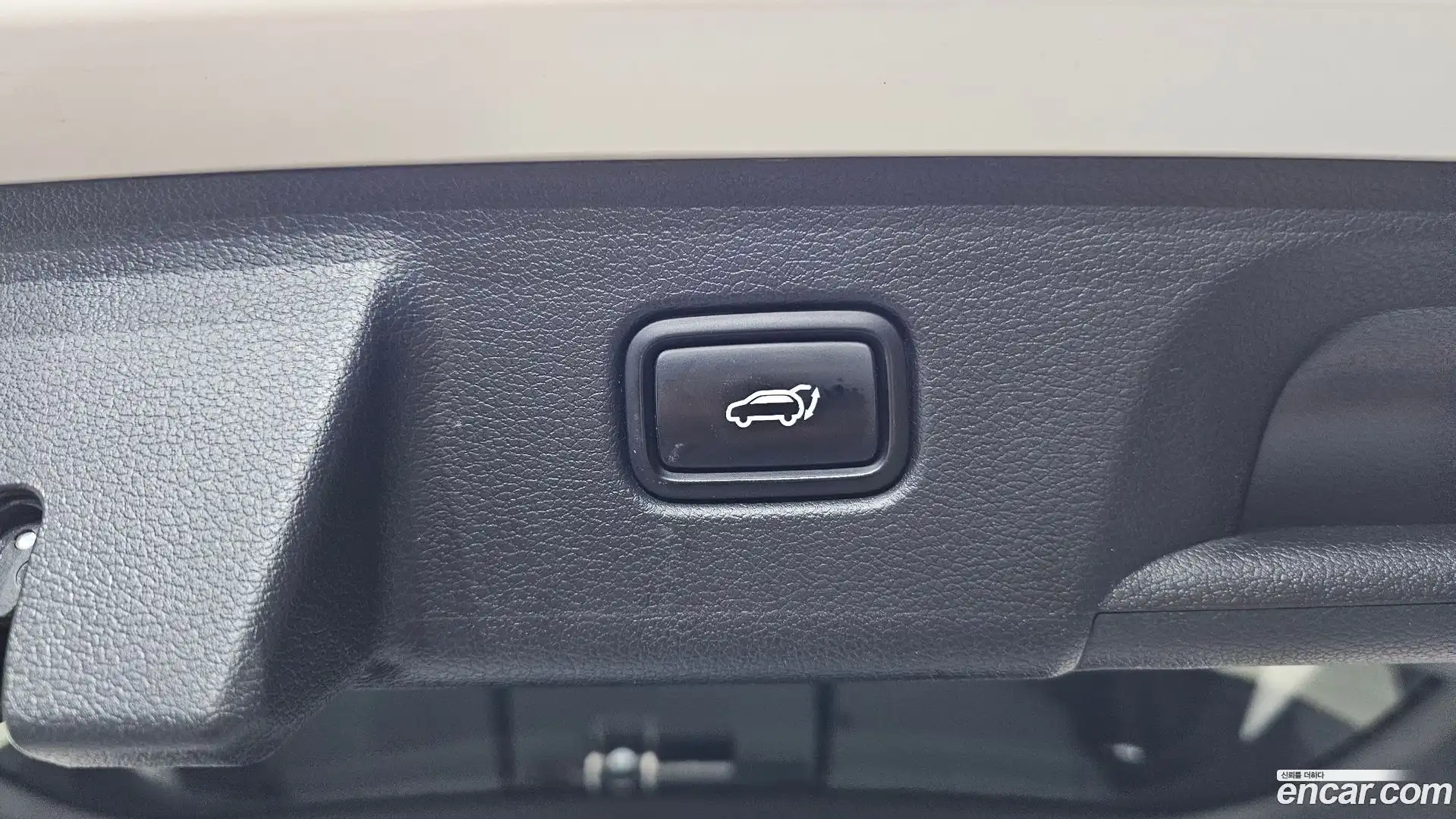 Palisade Hyundai 2020.10-OPTION-019