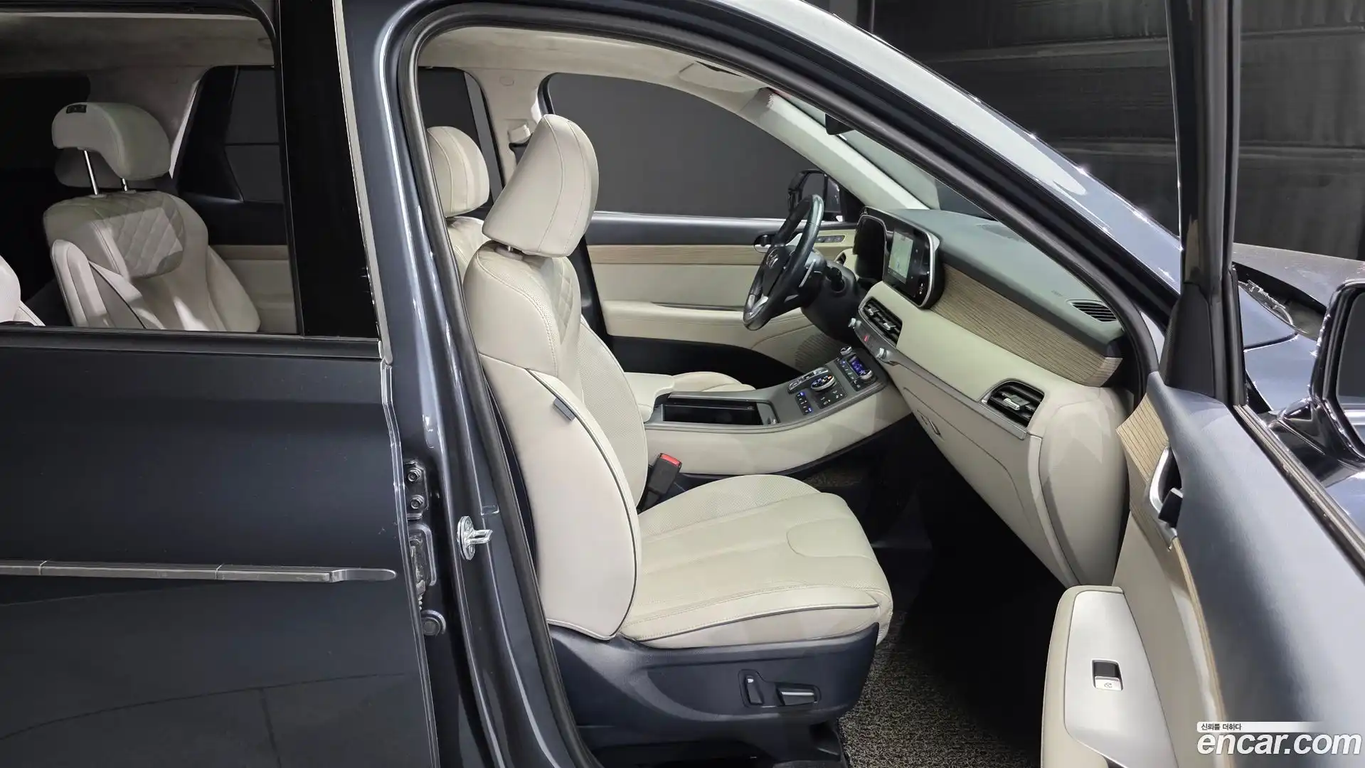 Palisade Hyundai 2020.6-OPTION-015