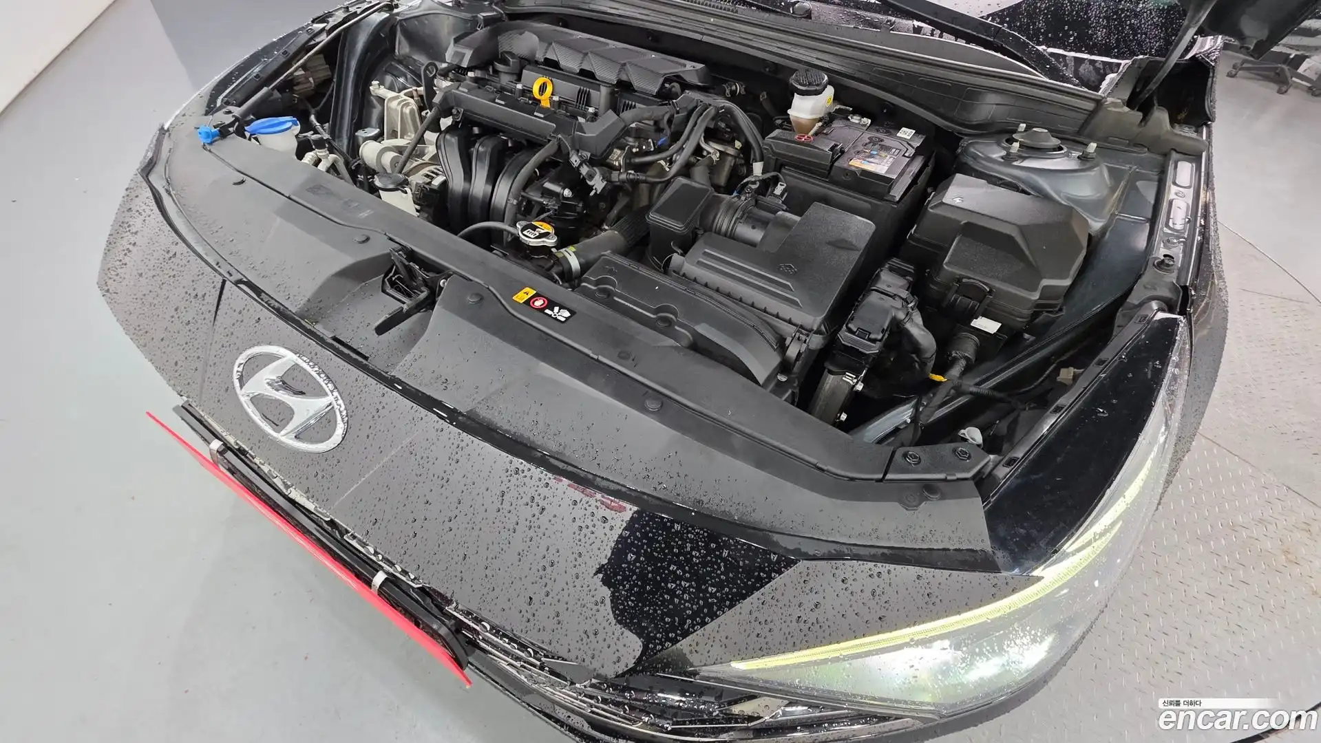 AVANTE Hyundai 2022.4-OUTER-006
