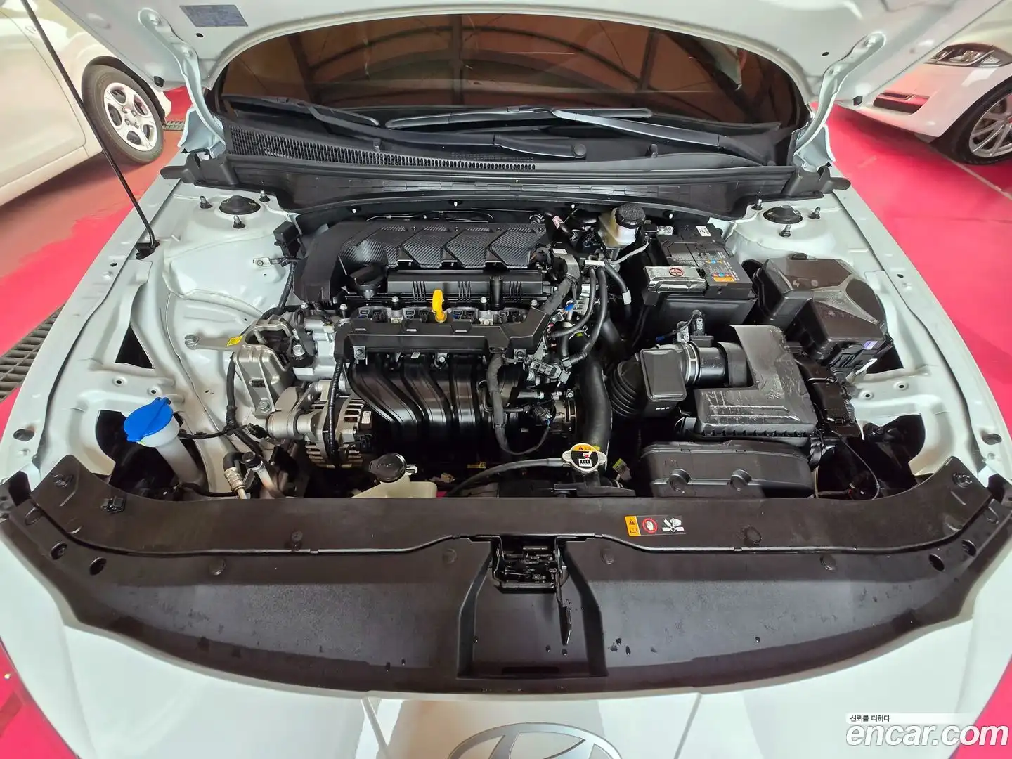 AVANTE Hyundai 2024.6-OUTER-006