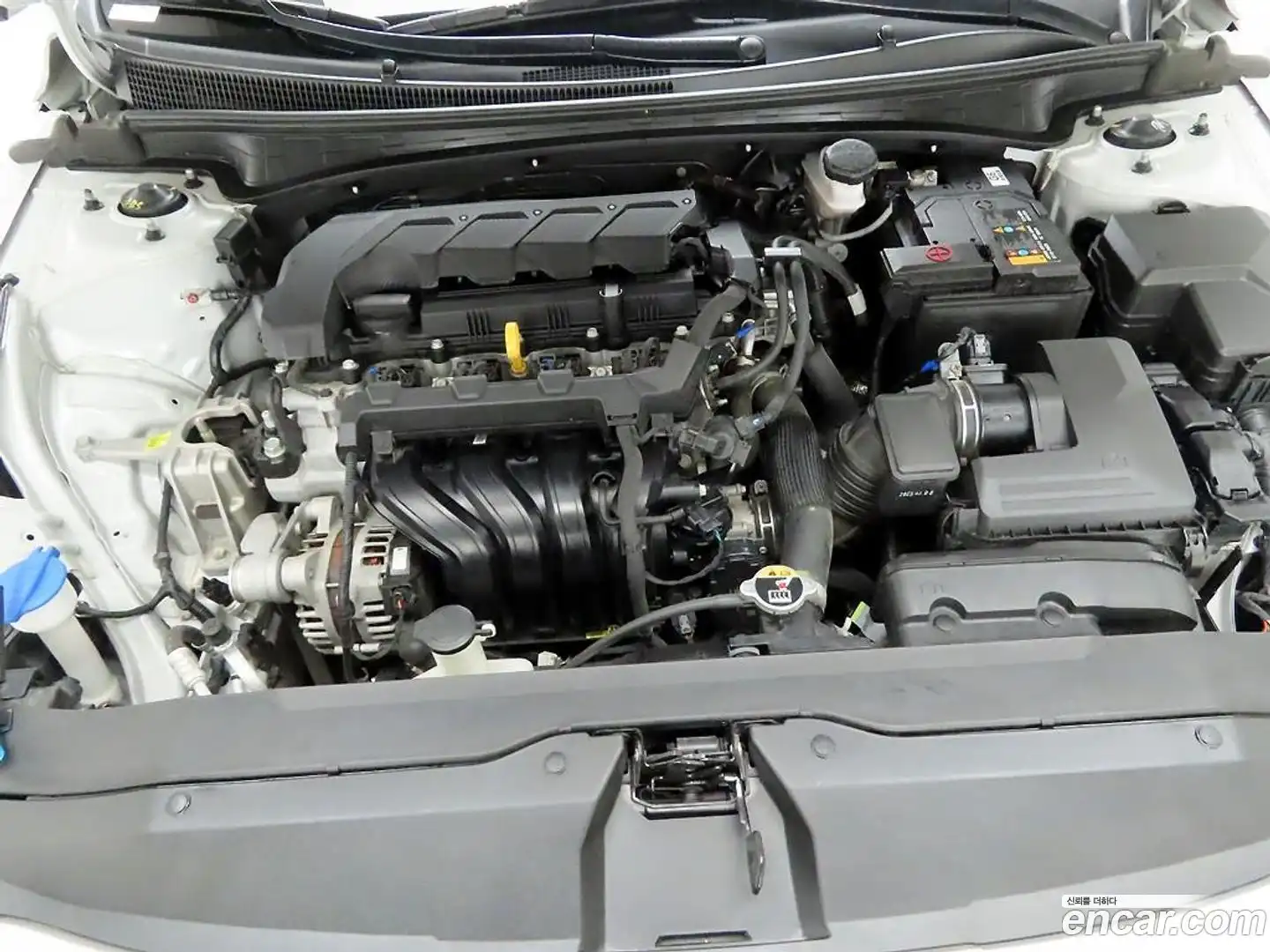 AVANTE Hyundai 2023.3-OPTION-024