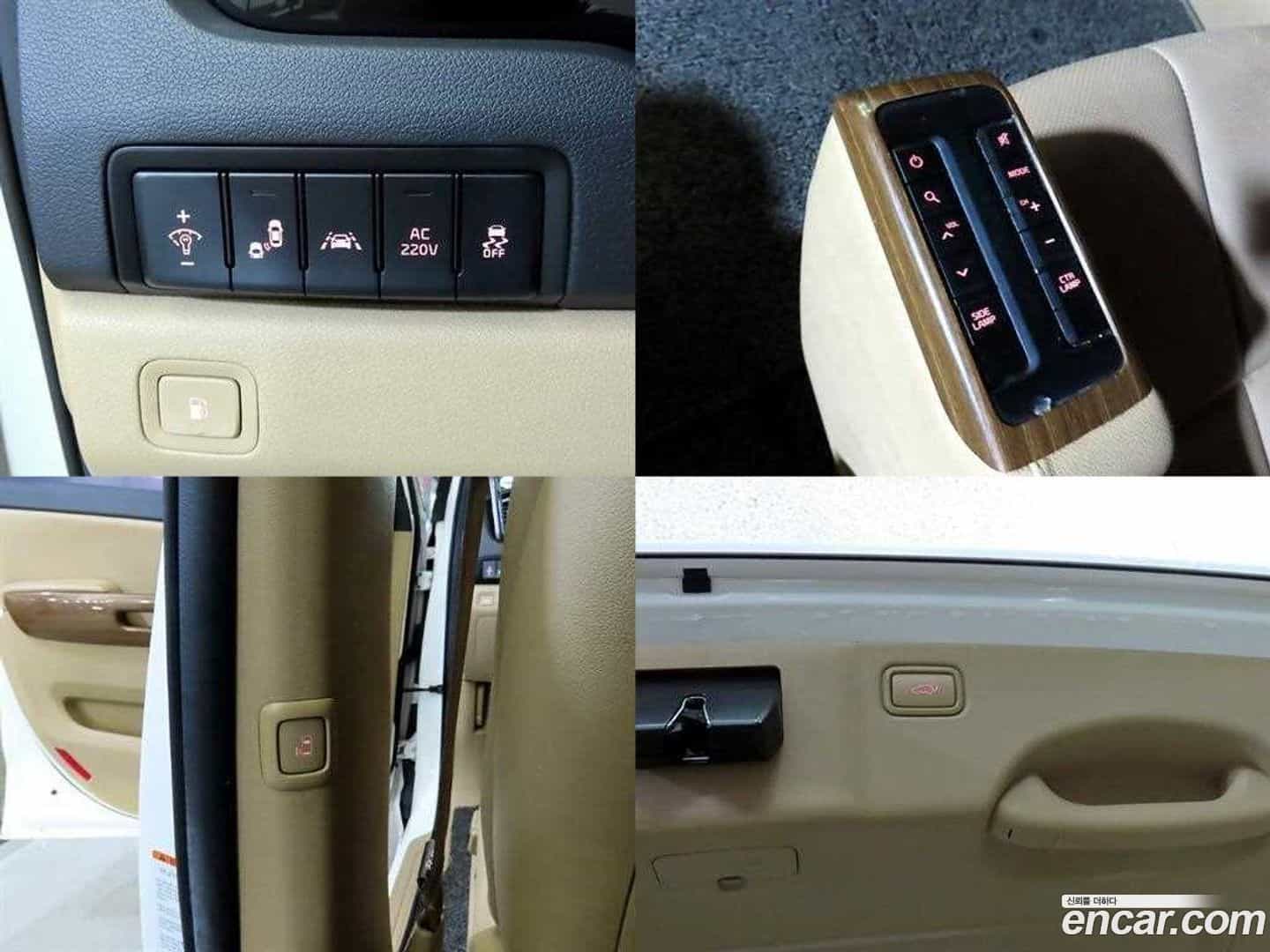 Canival Kia 2017.10-OPTION-016