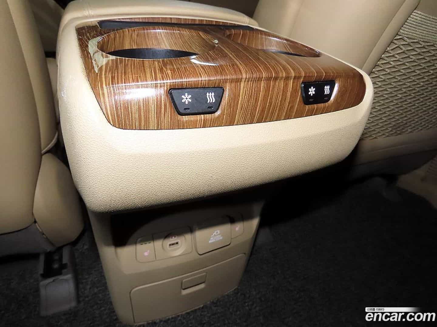 Canival Kia 2017.10-OPTION-021