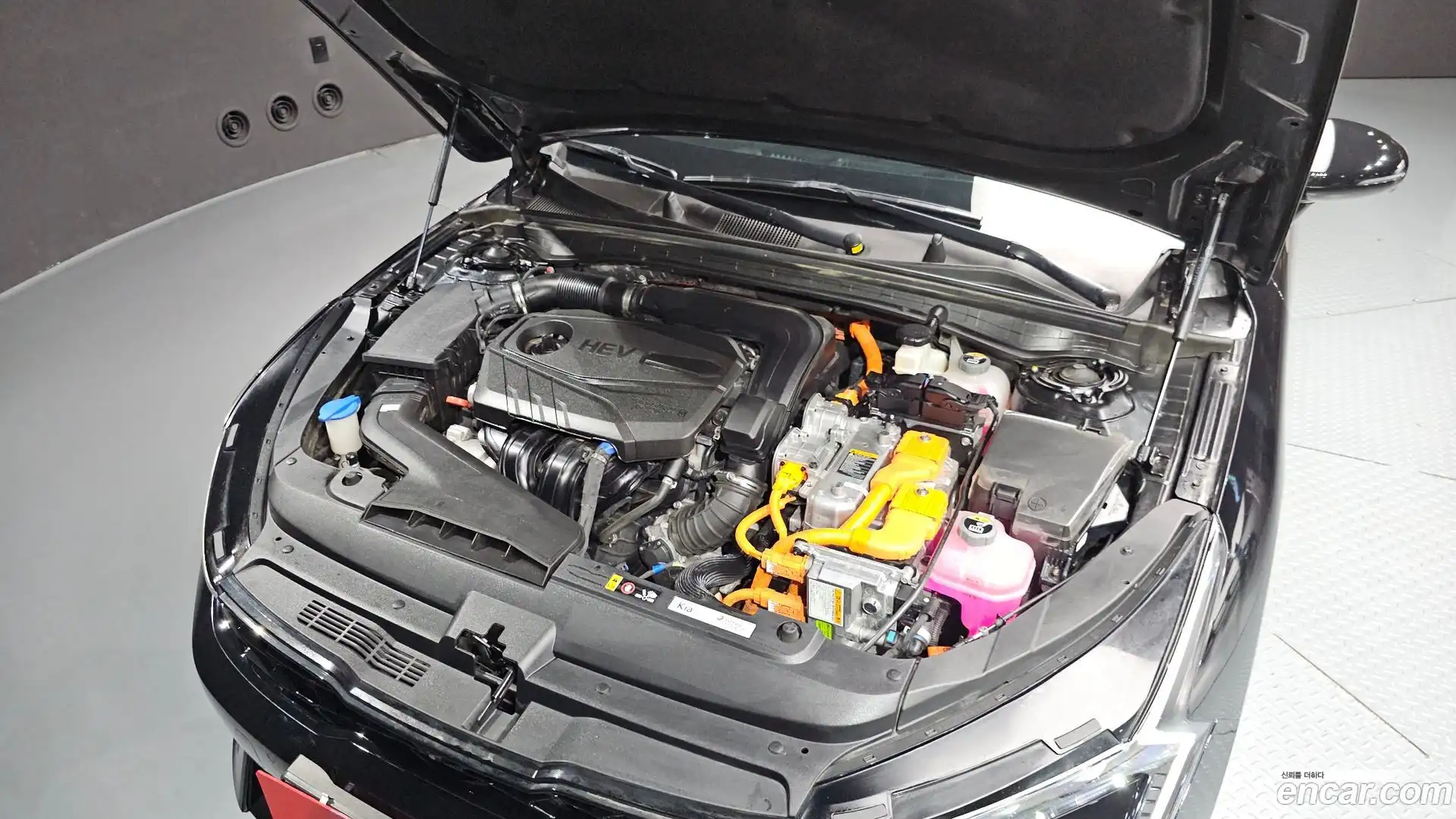 K5 Kia 2024.2-OUTER-006