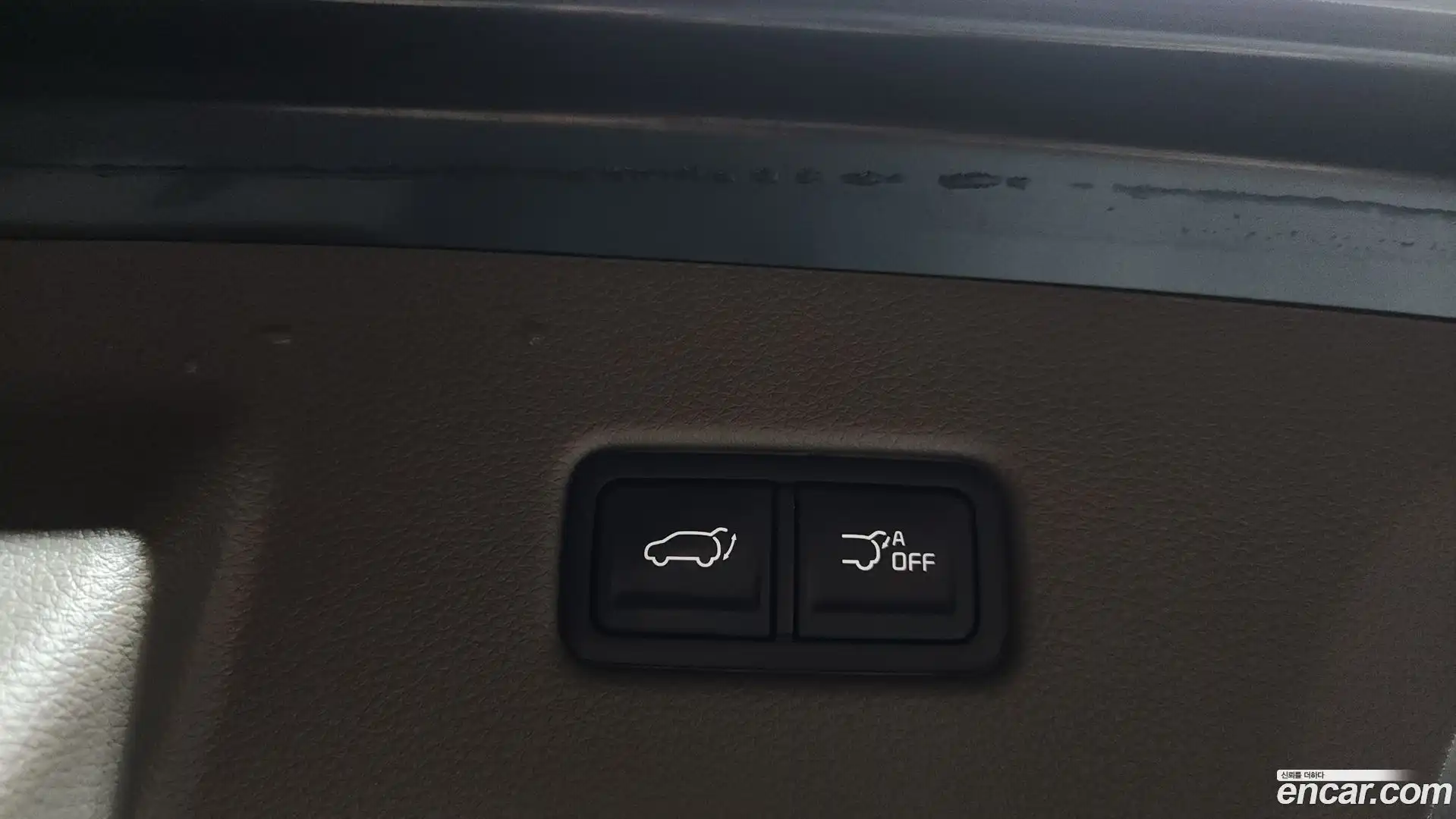 Canival Kia 2021.10-OPTION-020