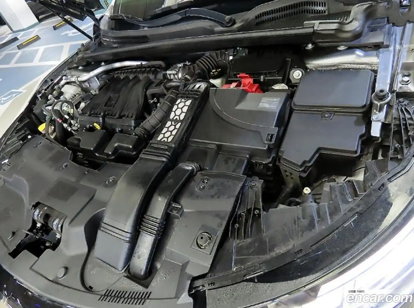 SM6 Renault Korea 2020.8-OPTION-023