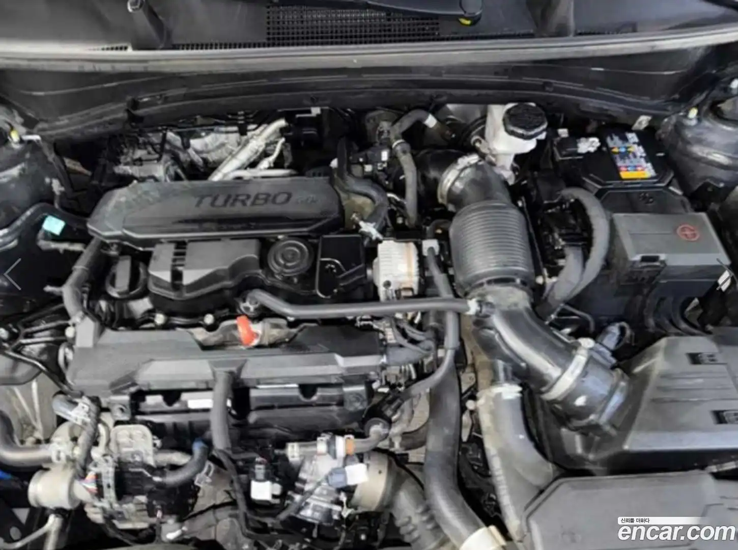 Sportage Kia 2021.11-OPTION-023