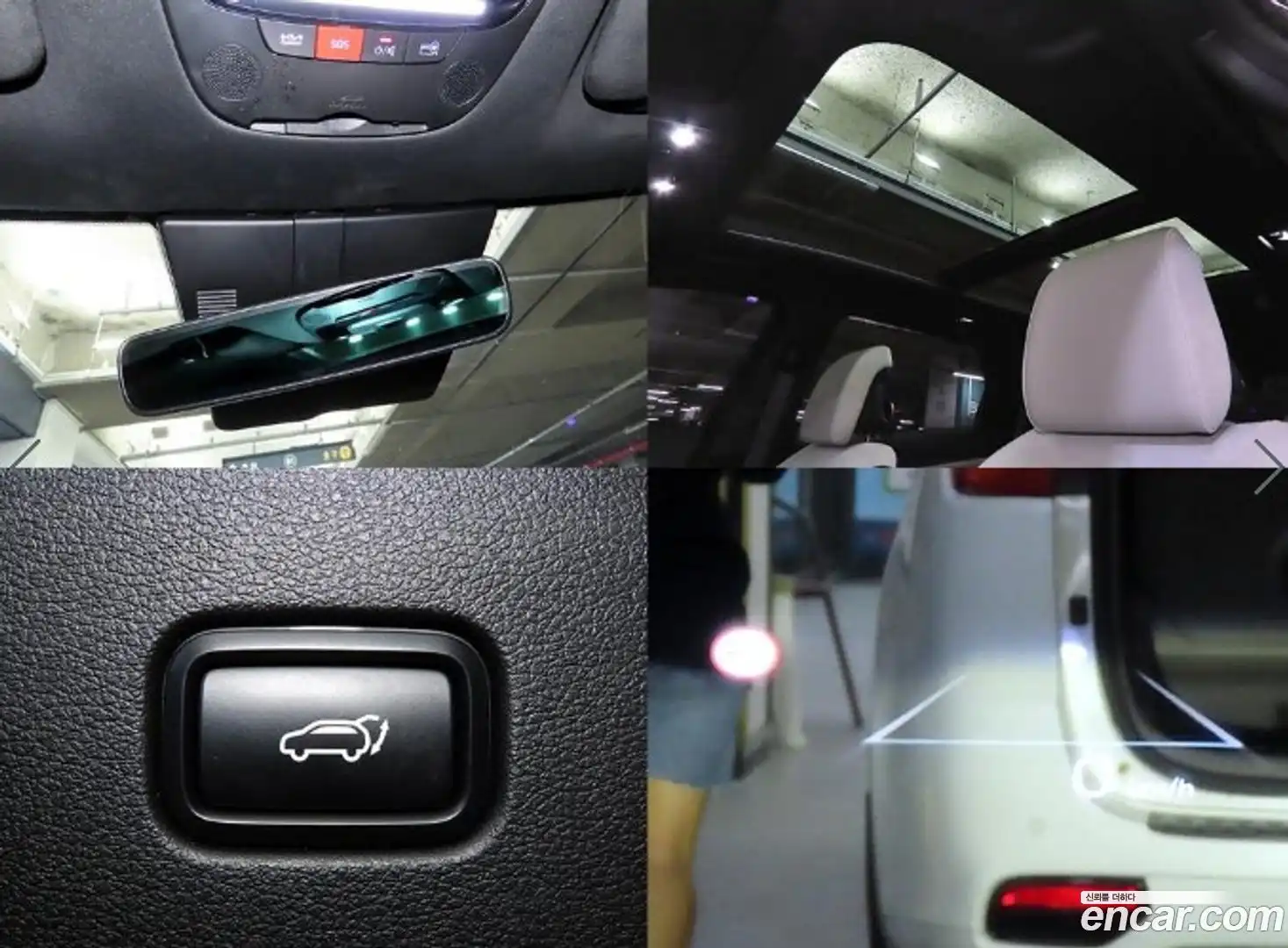 Sportage Kia 2025.2-OPTION-022