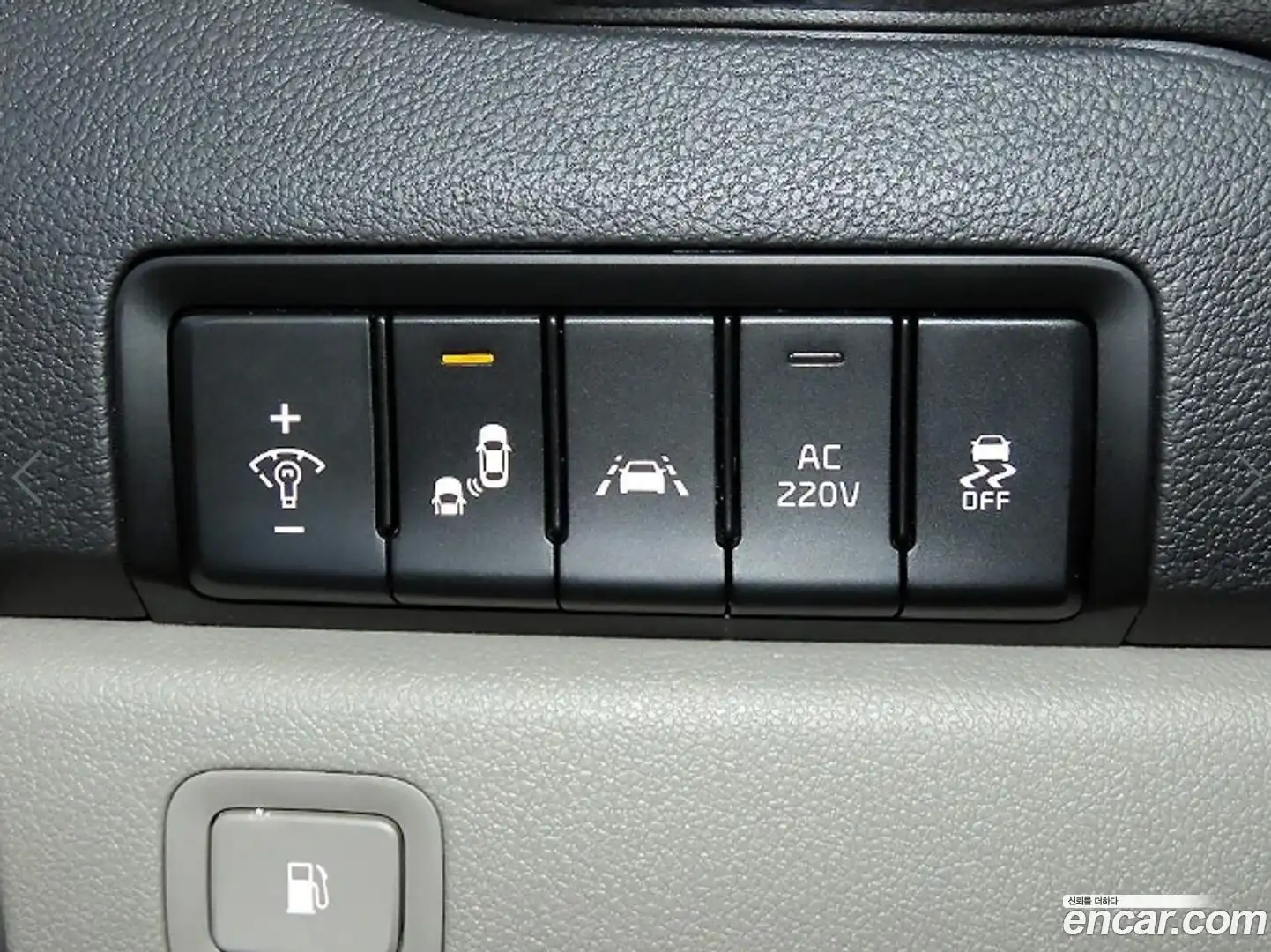 Canival Kia 2019.3-OPTION-018