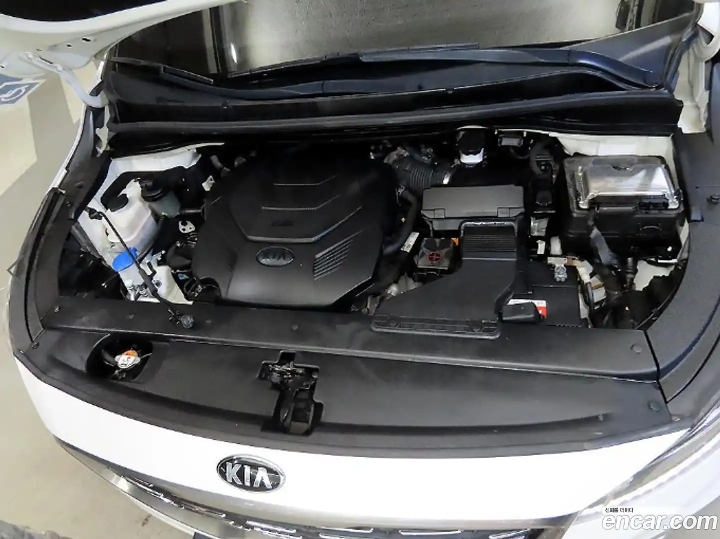 Canival Kia 2019.3-OPTION-023