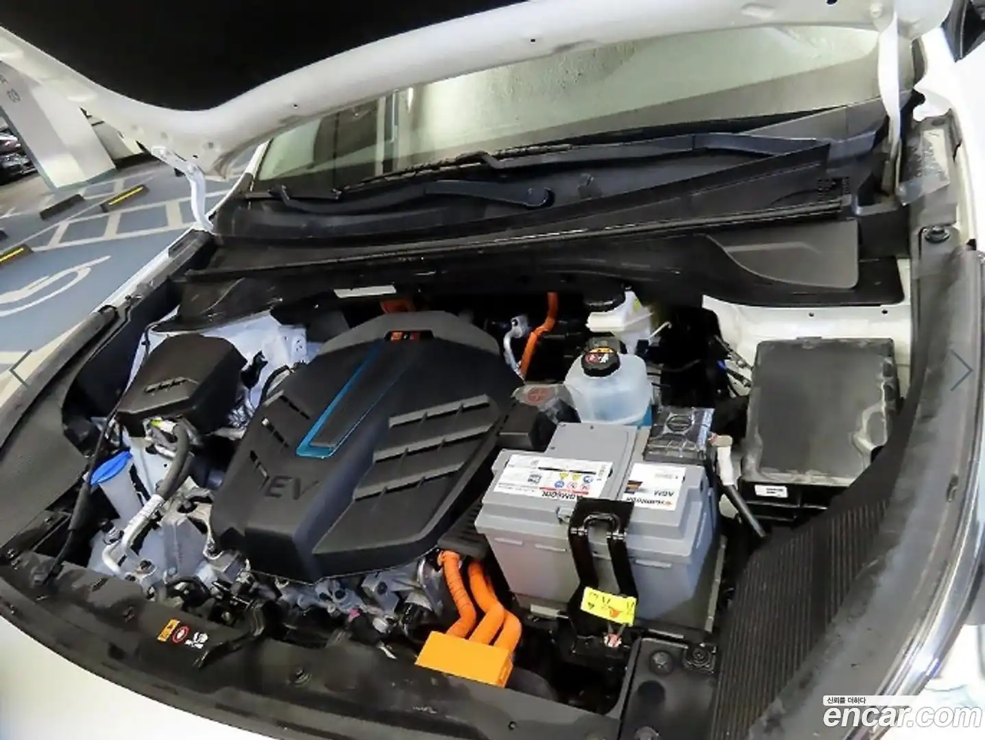 Niro Kia 2022.9-OPTION-023