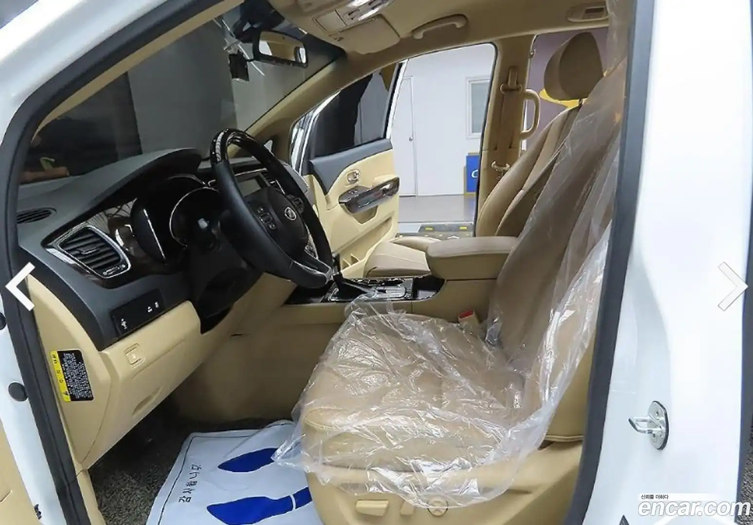 Canival Kia 2018.10-OPTION-017