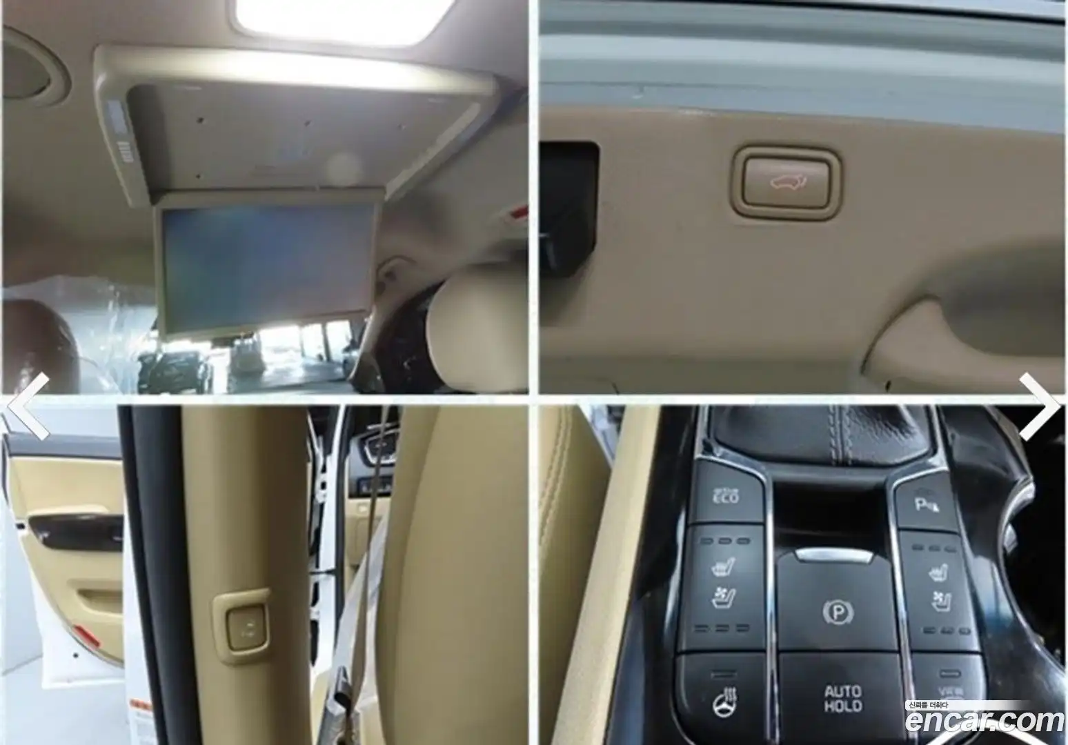 Canival Kia 2018.10-OPTION-019