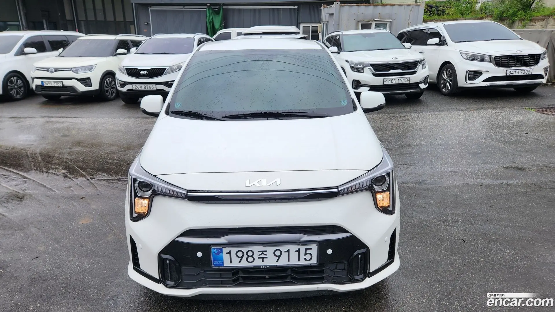 Main__Slider__Photo:morning Kia 2025.0-0