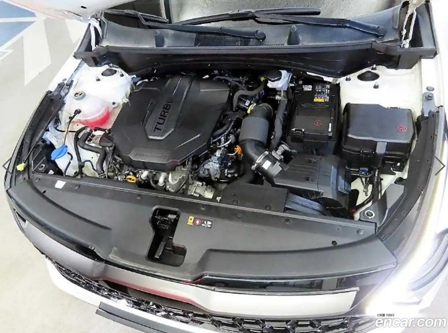 Sportage Kia 2022.4-OPTION-023