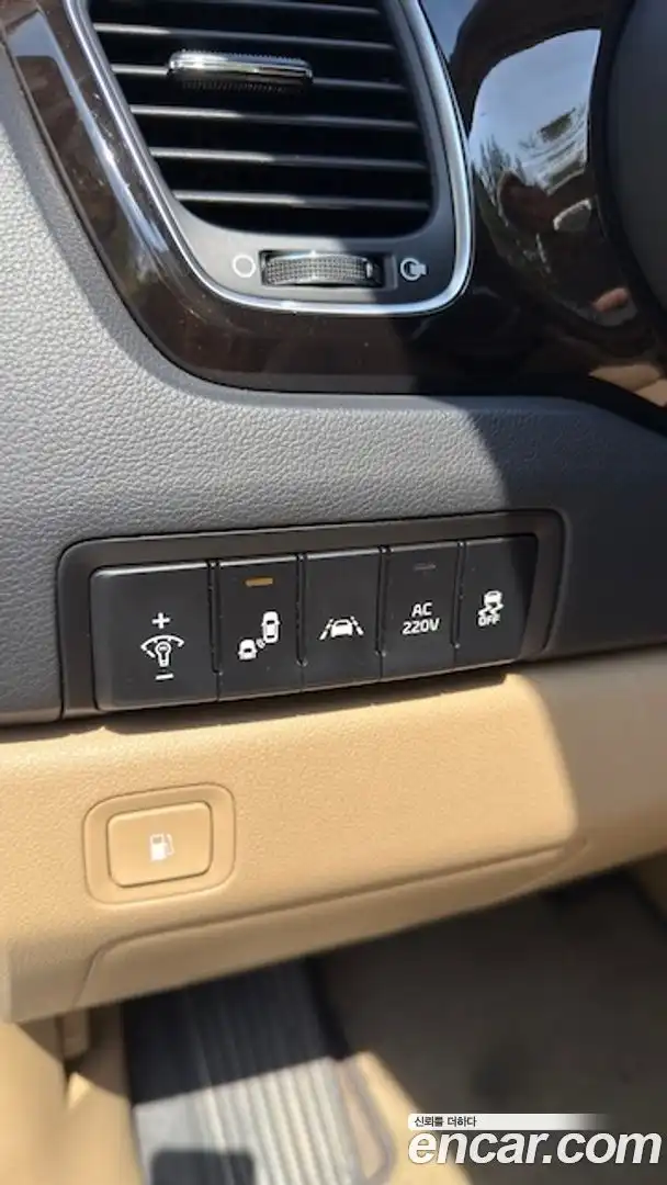 Canival Kia 2018.5-OPTION-018