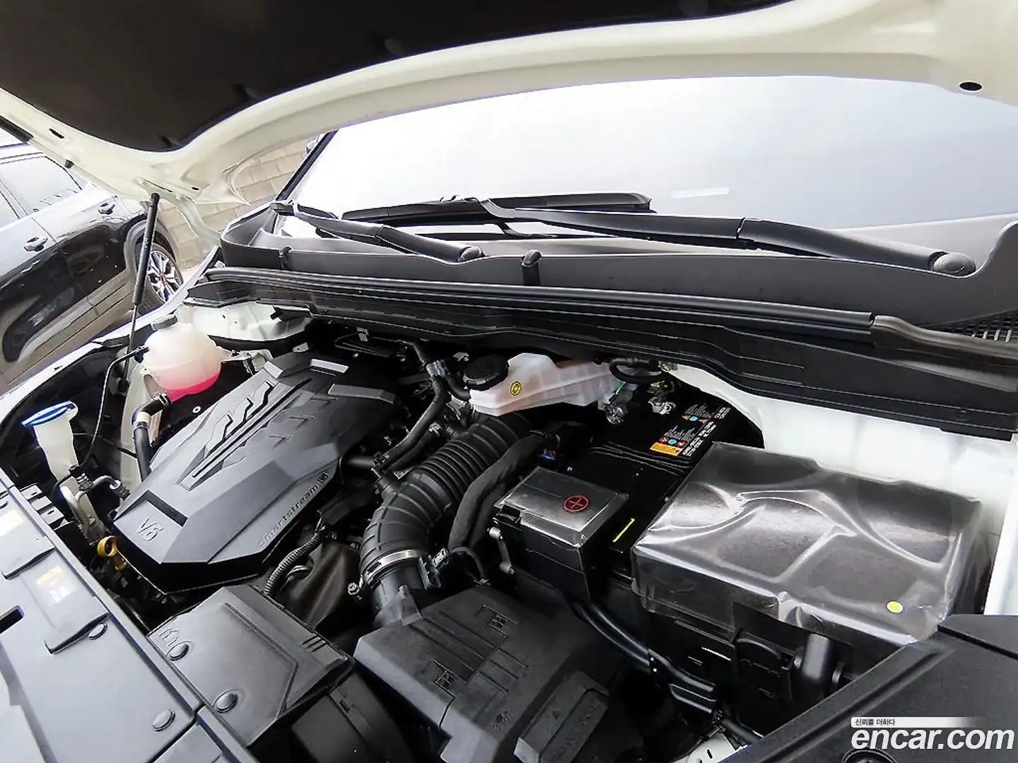 Canival Kia 2023.11-OPTION-023