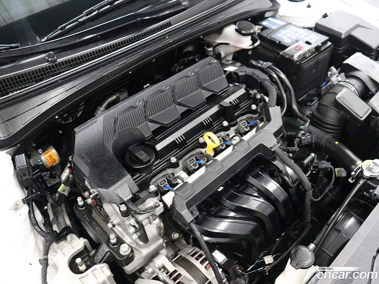 AVANTE Hyundai 2023.5-OPTION-024