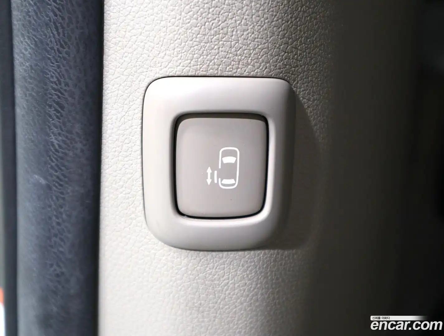 Canival Kia 2019.3-OPTION-021