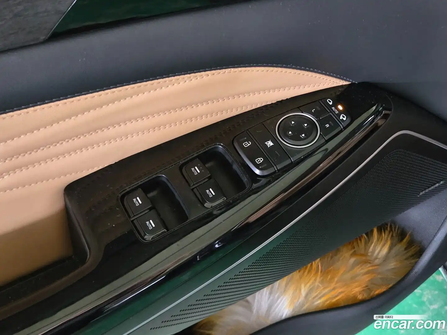 K7 Kia 2019.8-OPTION-019