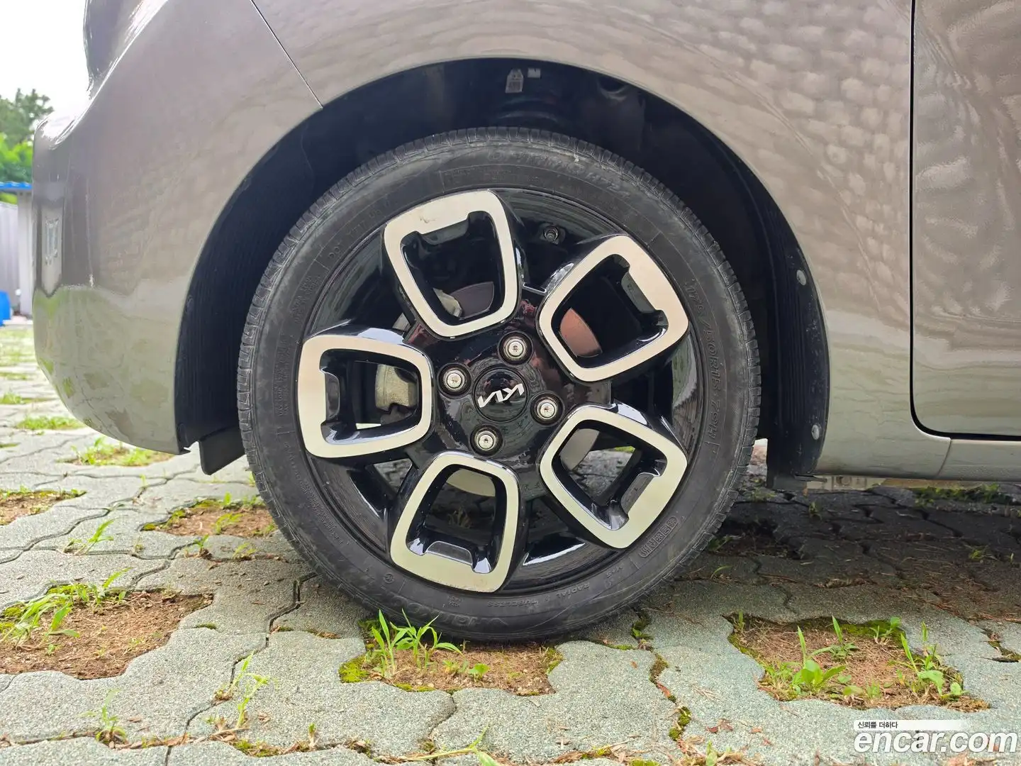 RAY Kia 2021.8-OUTER-006