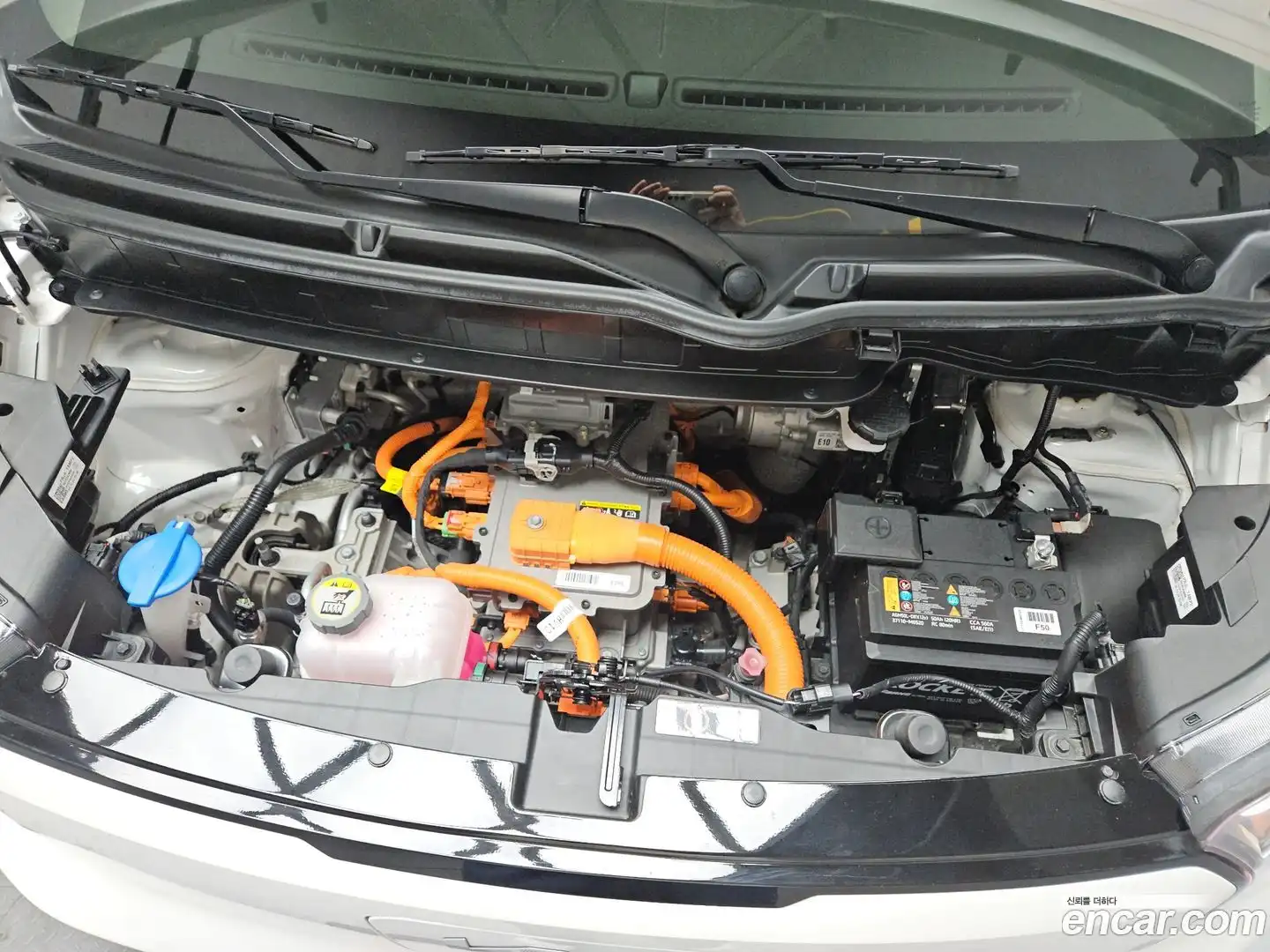 RAY Kia 2024.2-INNER-008