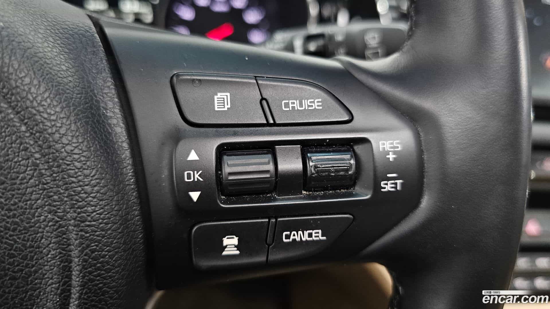 Canival Kia 2017.7-OPTION-041
