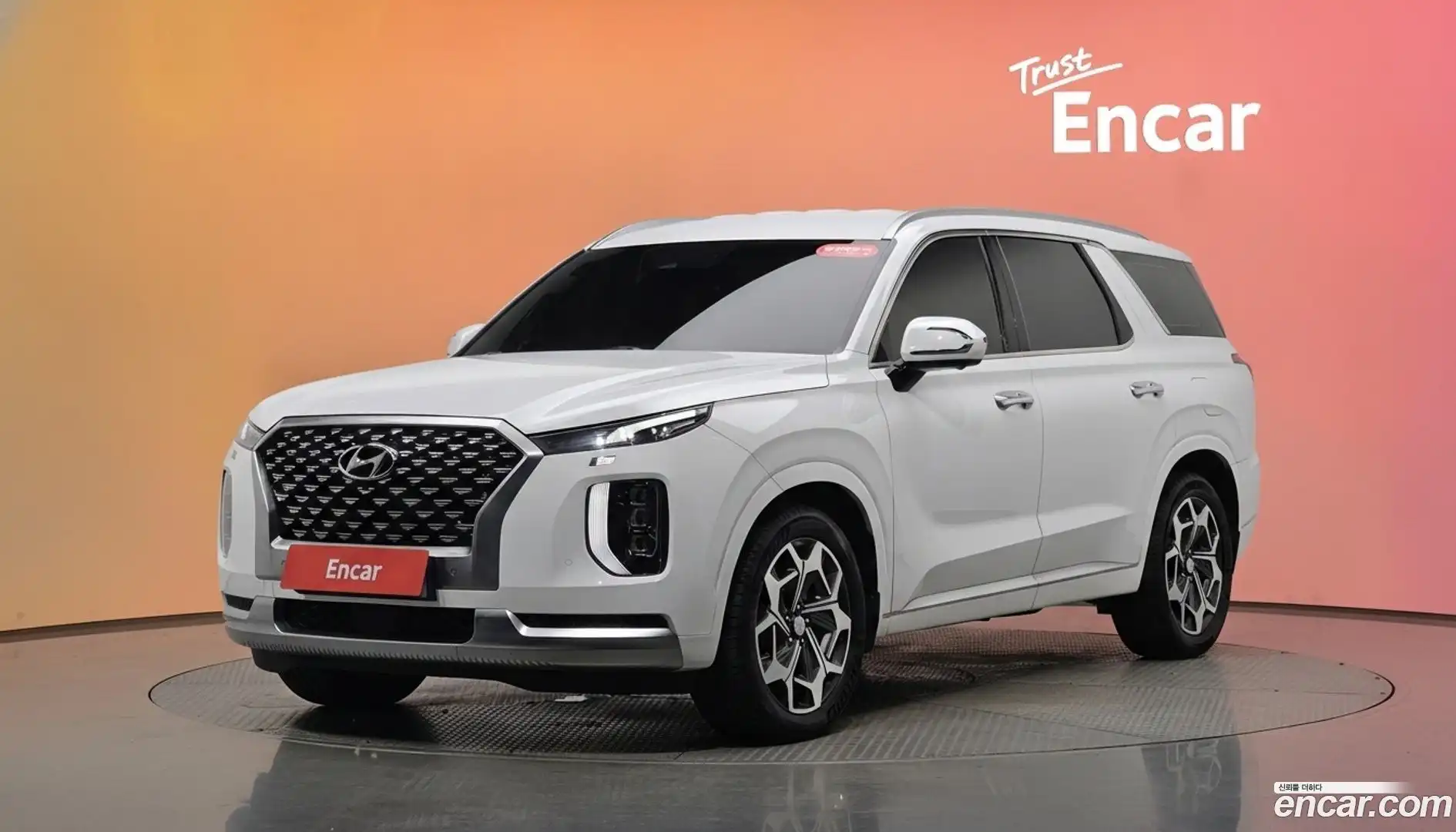 Palisade Hyundai 2021.0-DIAG2-001