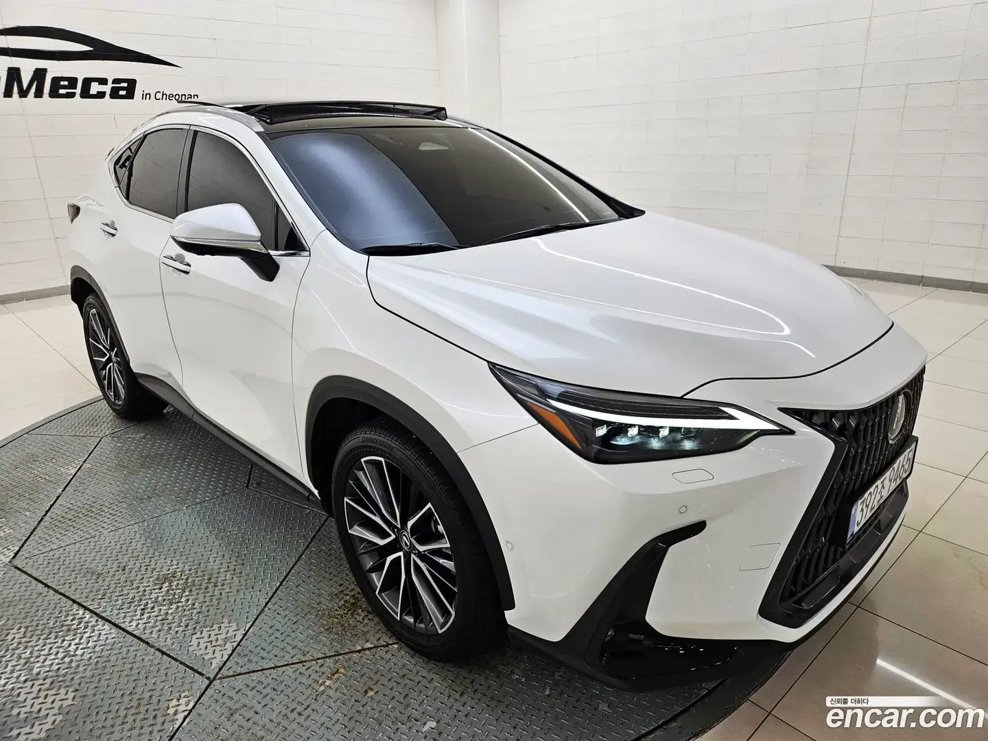 Main__Slider__Photo:NX Lexus 2025.3-1