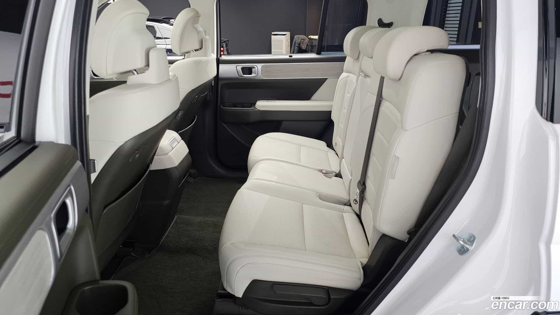 Santafe Hyundai 2023.9-OPTION-016