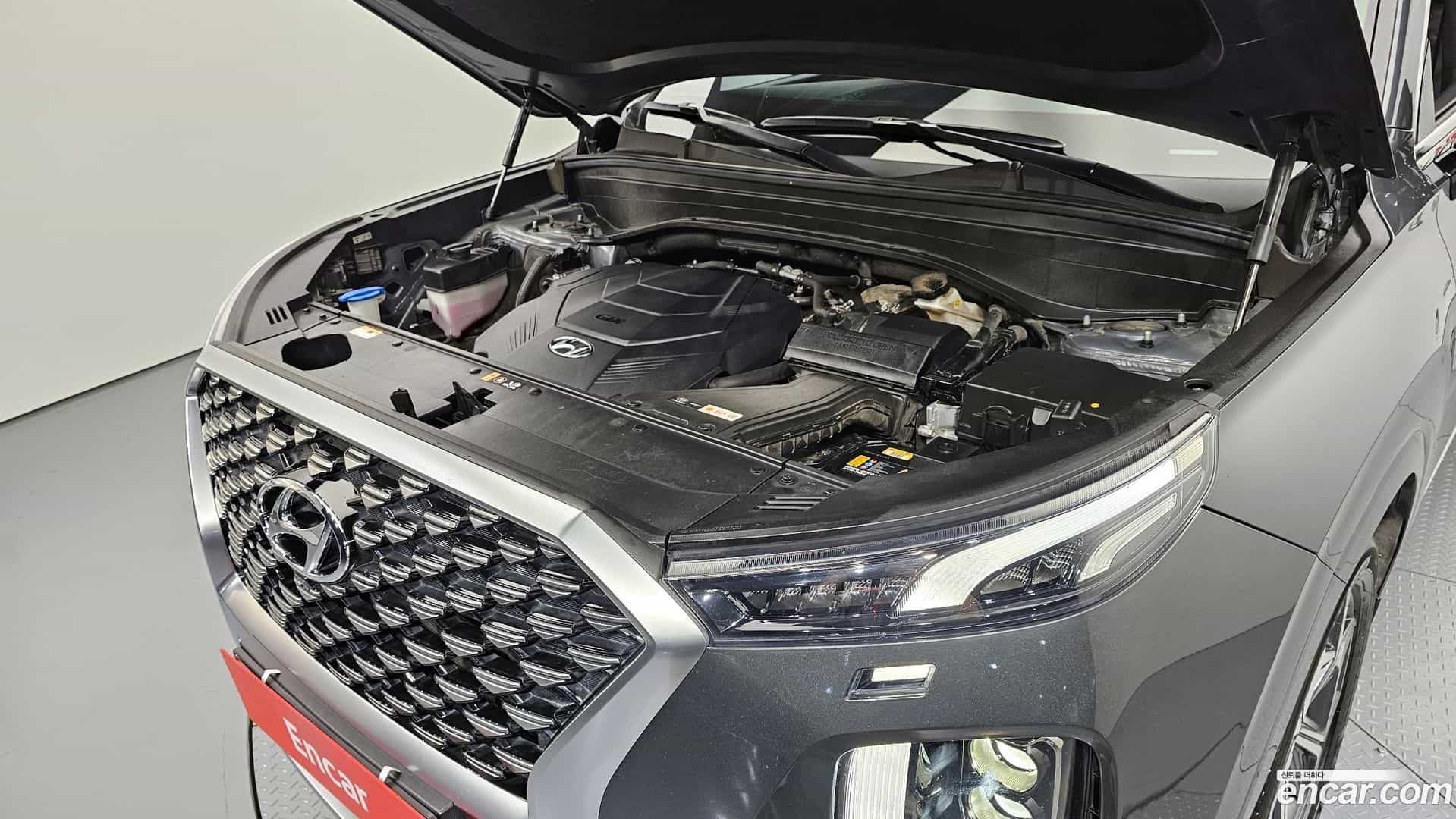 Palisade Hyundai 2021.0-OUTER-006