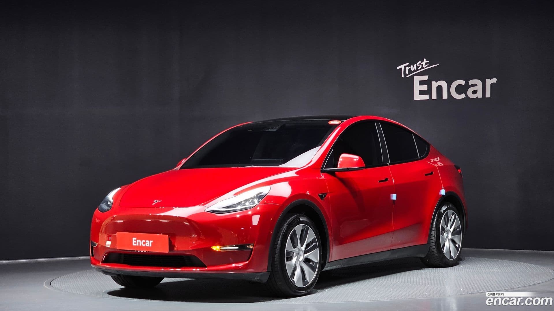 Main__Slider__Photo:Model Y Tesla 2021.8-0