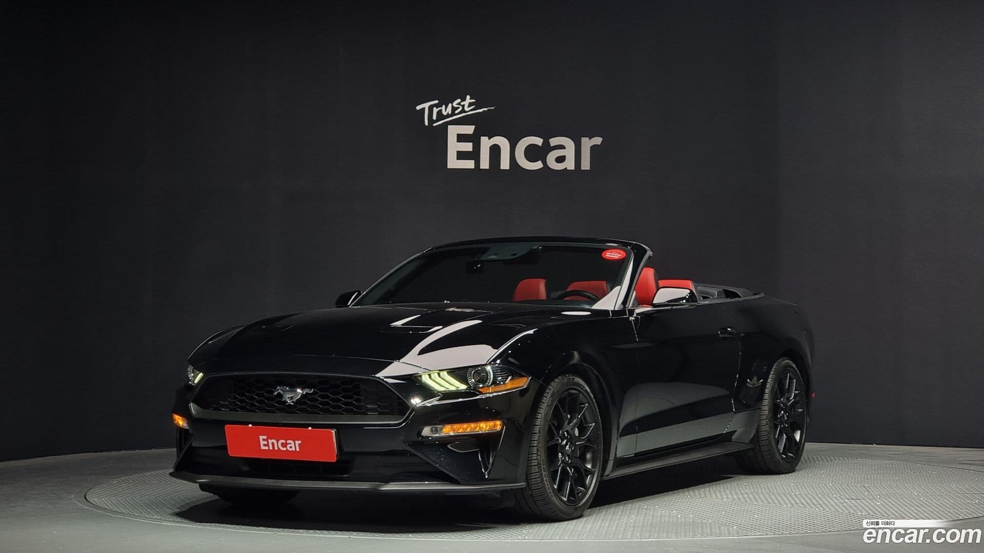 Main__Slider__Photo:Mustang Ford 2019.9-0