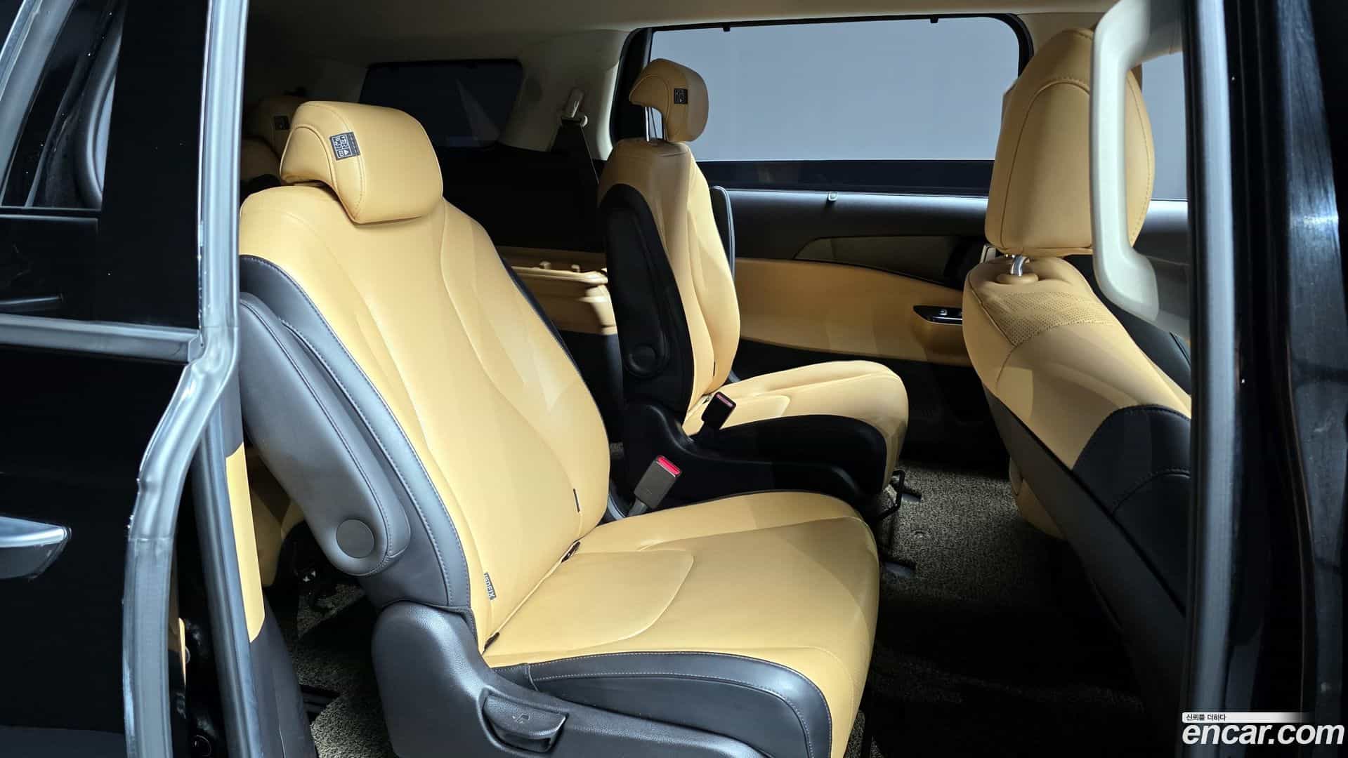 Canival Kia 2020.9-OPTION-16